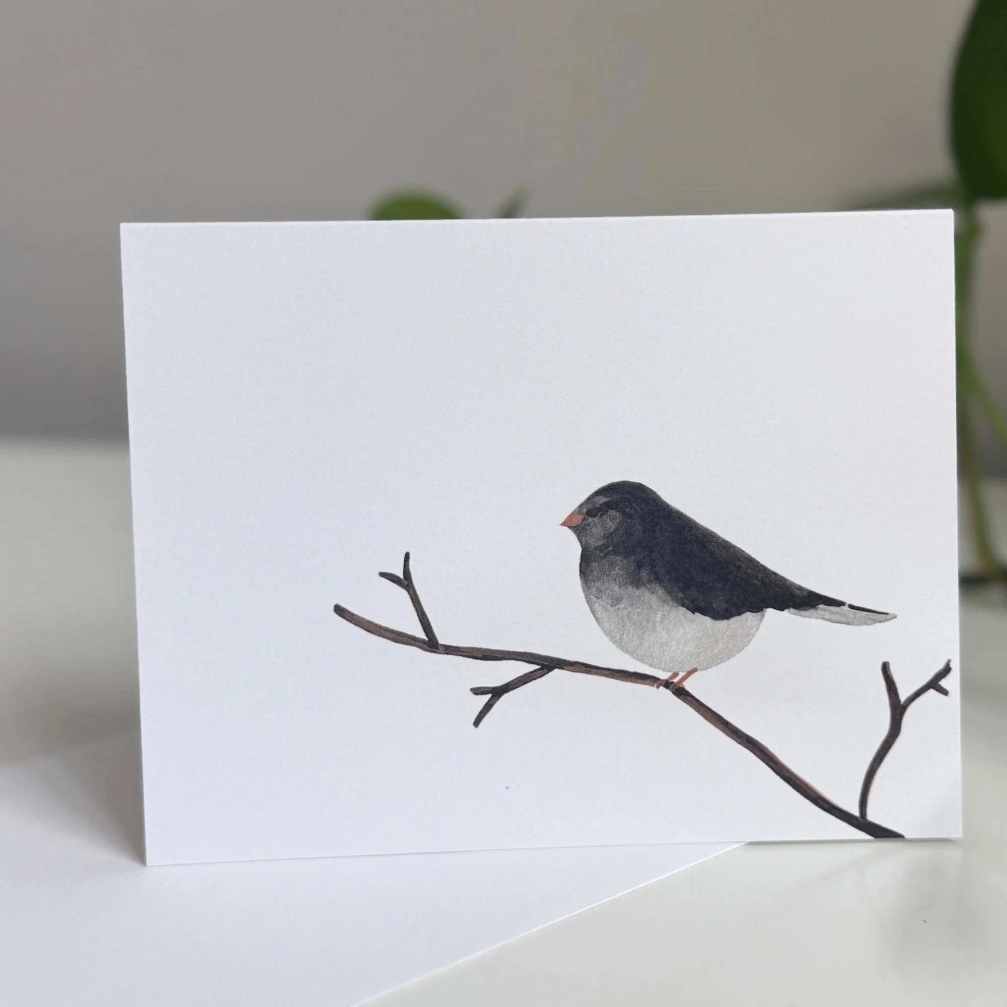 Junco_A2 folded card.jpg