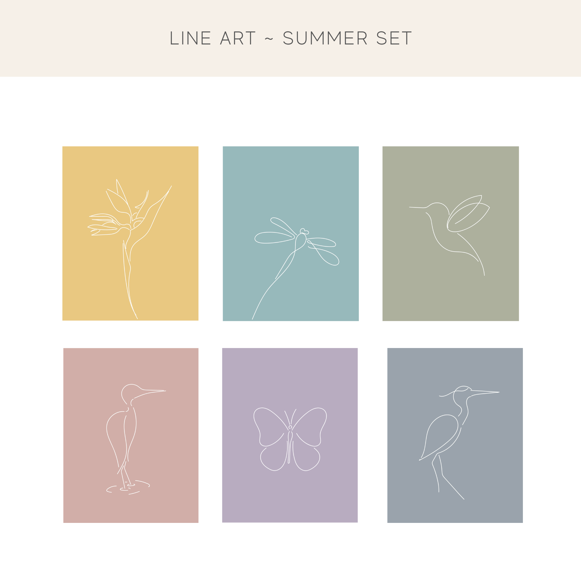 Summer Line Art Drawings_Set of 6 Designs_bird of paradise_dragonfly_hummingbird_blue herons_butterfly.png