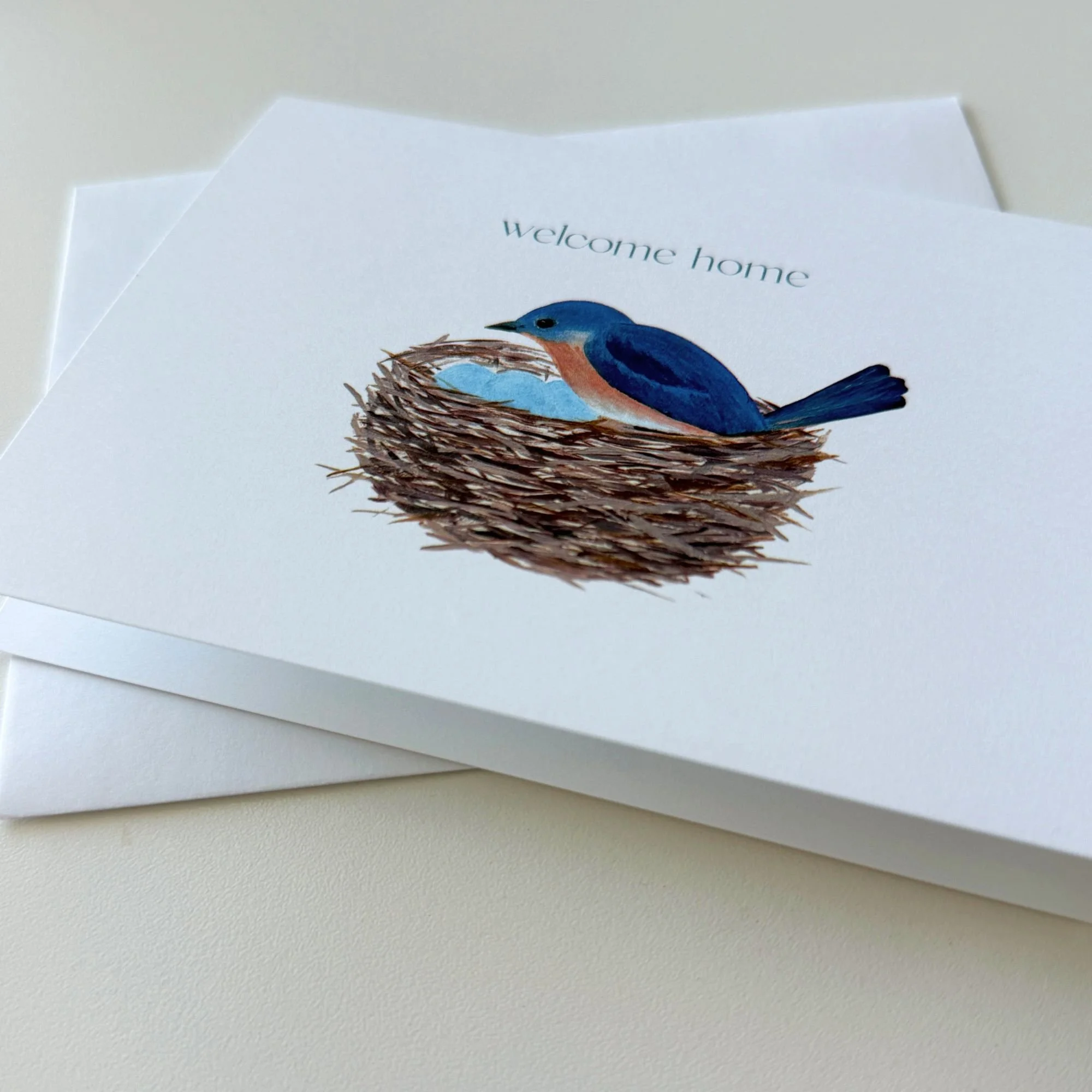 Bluebird Nest 2.jpg