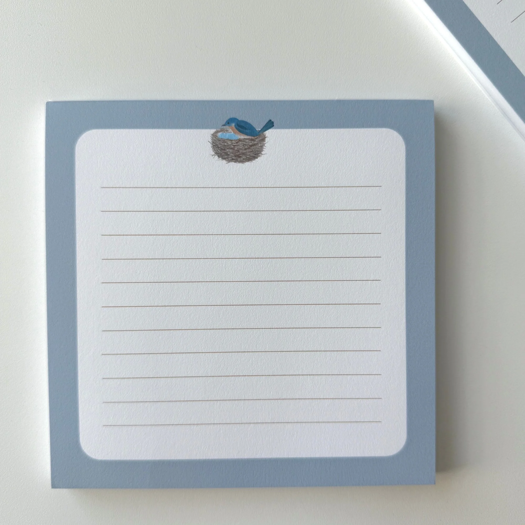 Blue Bird Notepad_50 lined pages_square_daily notes.jpg
