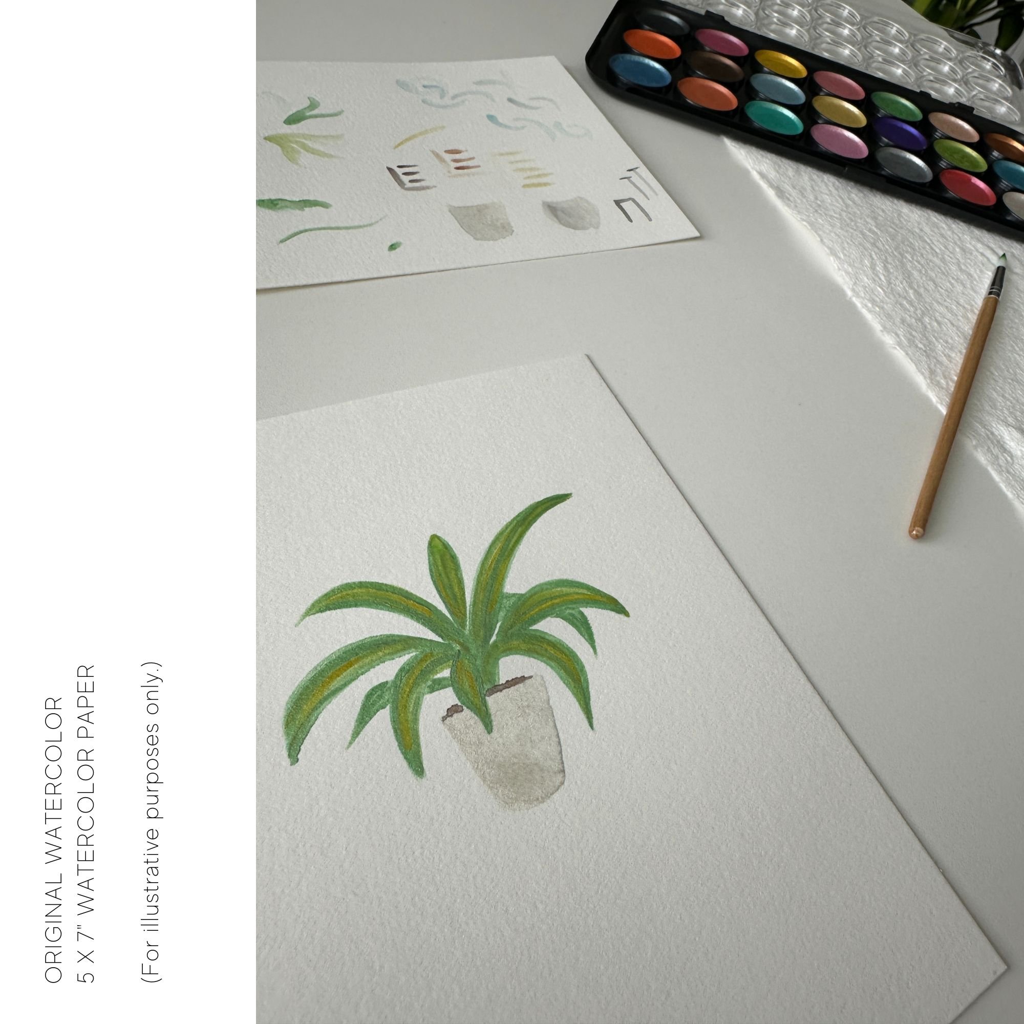original tropical houseplant_watercolor_hau fine art.jpg