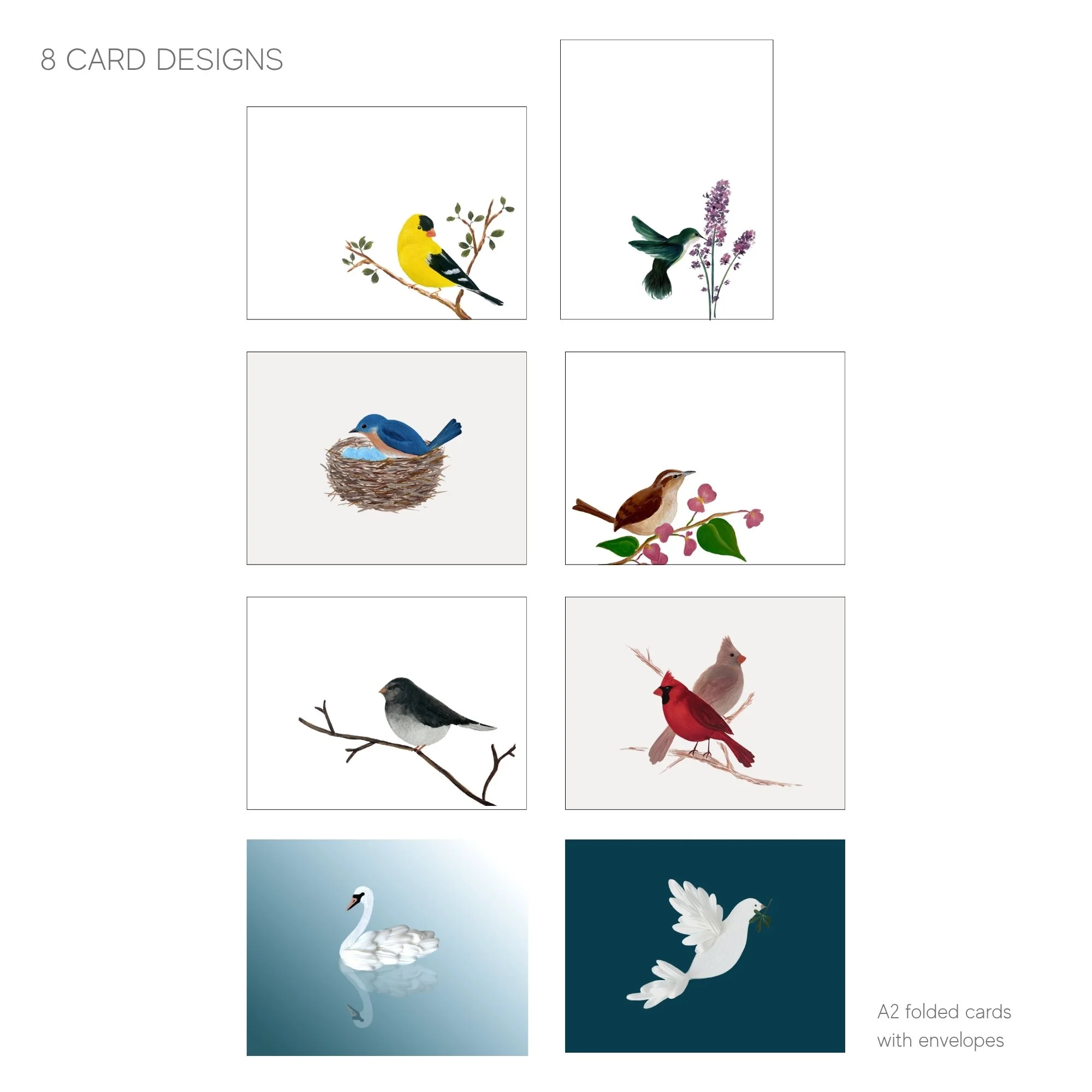 Bird Lovers Box Set - 8 Card Designs.jpg