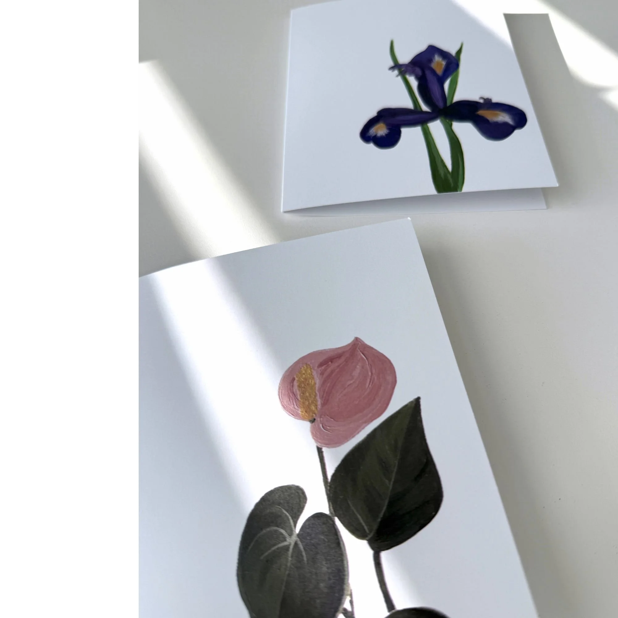 Pink Flamingo Flower  |  Pink Anthurium  |  Original Art  |  Blank Folded Card