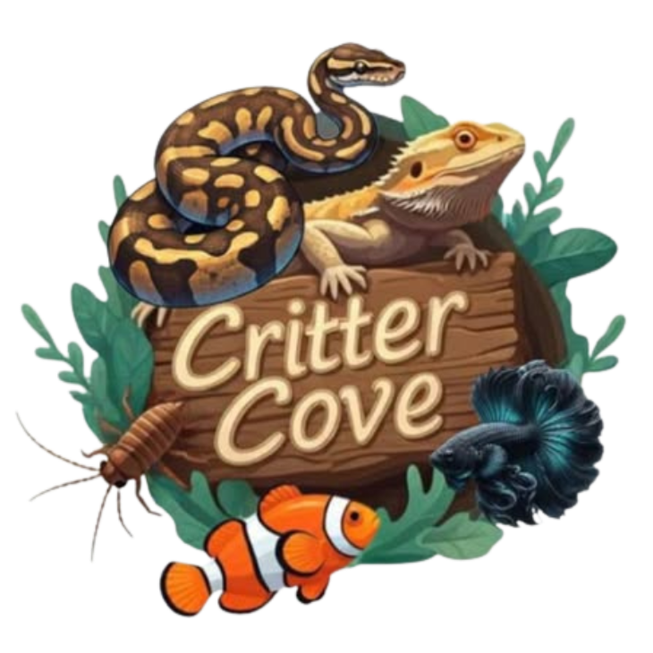 Illustration of a snake, bearded dragon, fish, crawfish, and Betta fish around a wooden sign that says "Critter Cove" with green leaves. Critter Cove LLC Logo