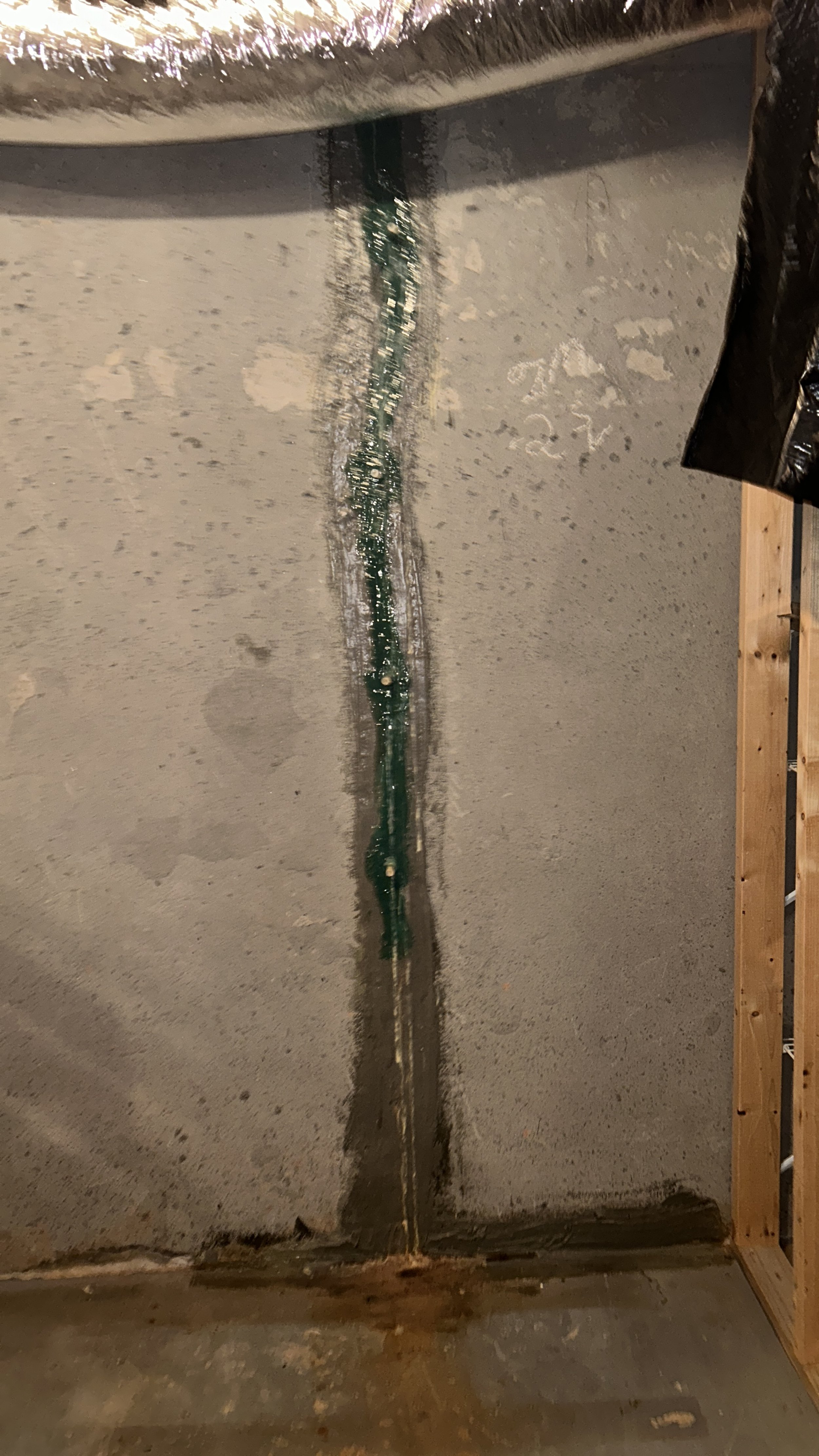 D2942529-D18E-44BF-BFA5-2DBCB0FF5126.jpeg