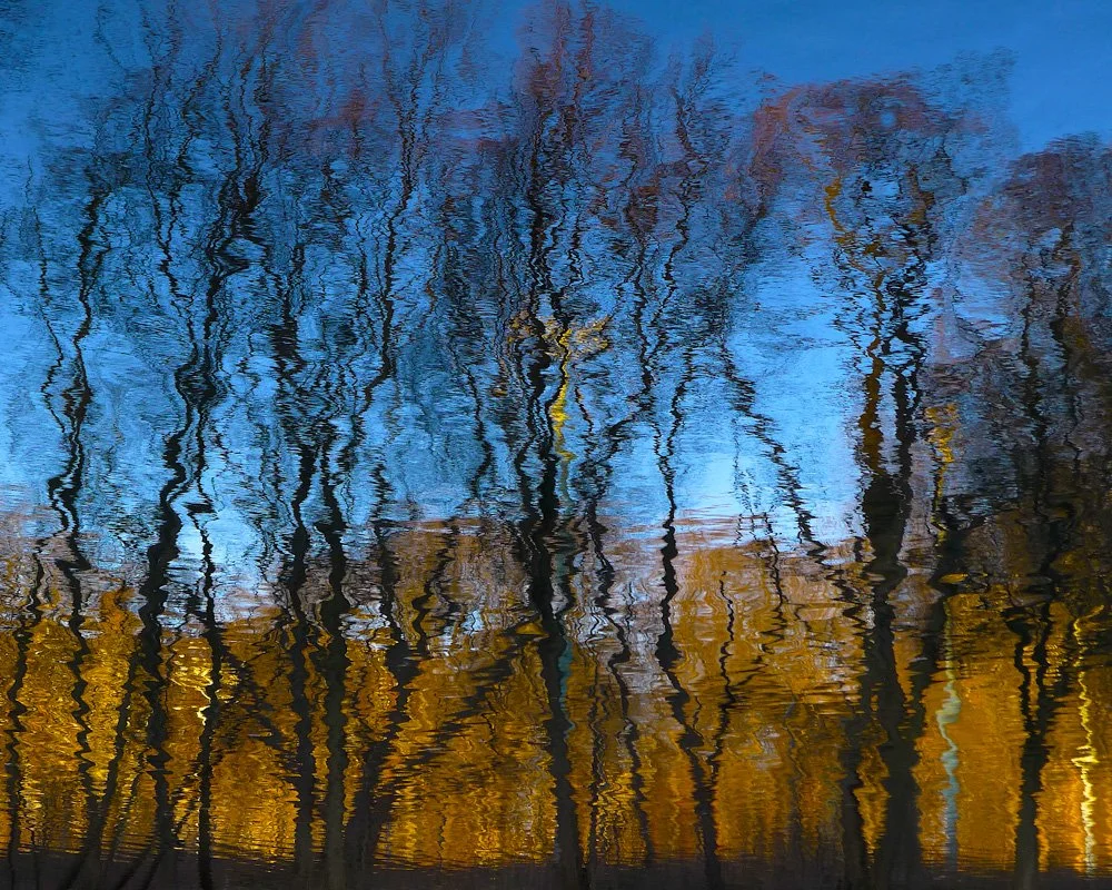 Fall Reflection