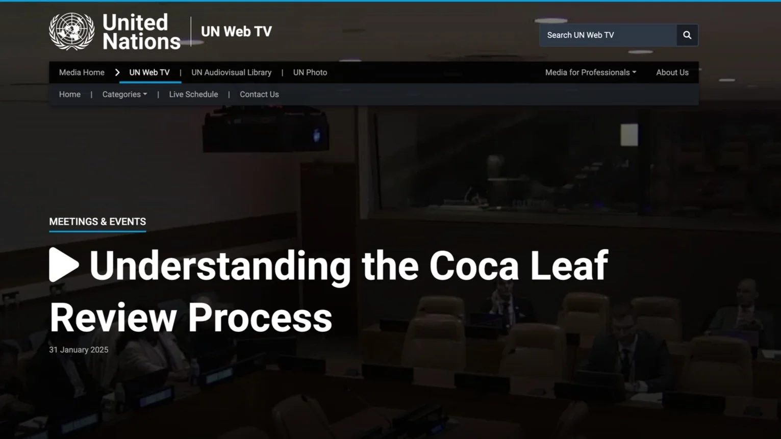 Understanding the Coca Leaf Review Process at United Nations