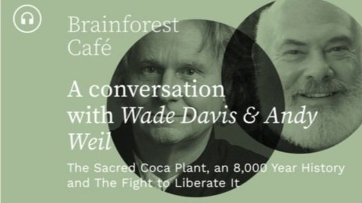 The Sacred Coca Plant, an 8,000 Year History Dr. Andrew Weil and Wade Davis on Brainforest Café with Dennis McKenna