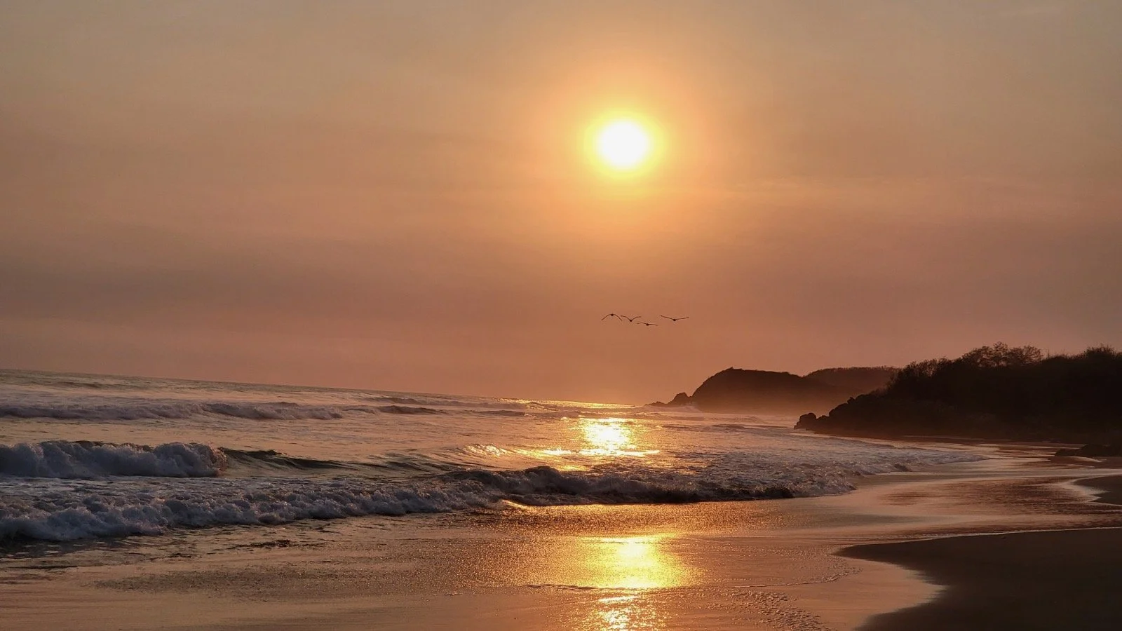 Sunset over a beach with waves crashing on the shore, a small cluster of birds flying, and rocky cliffs in the background.