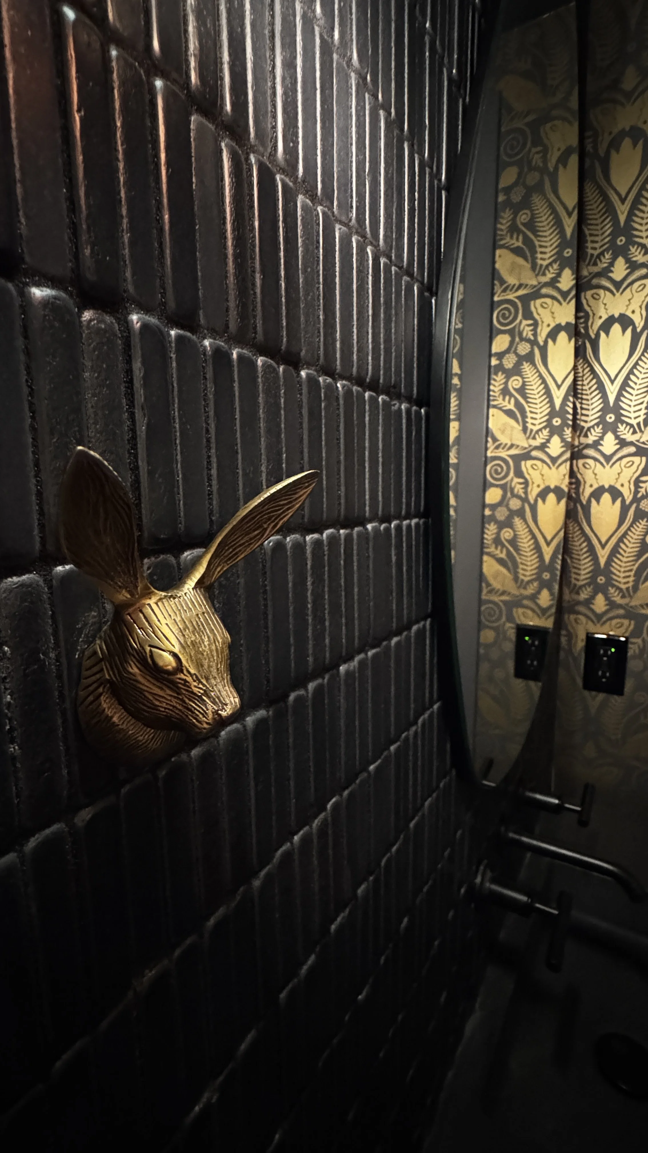 2026-01-22 11.11.21.jpg