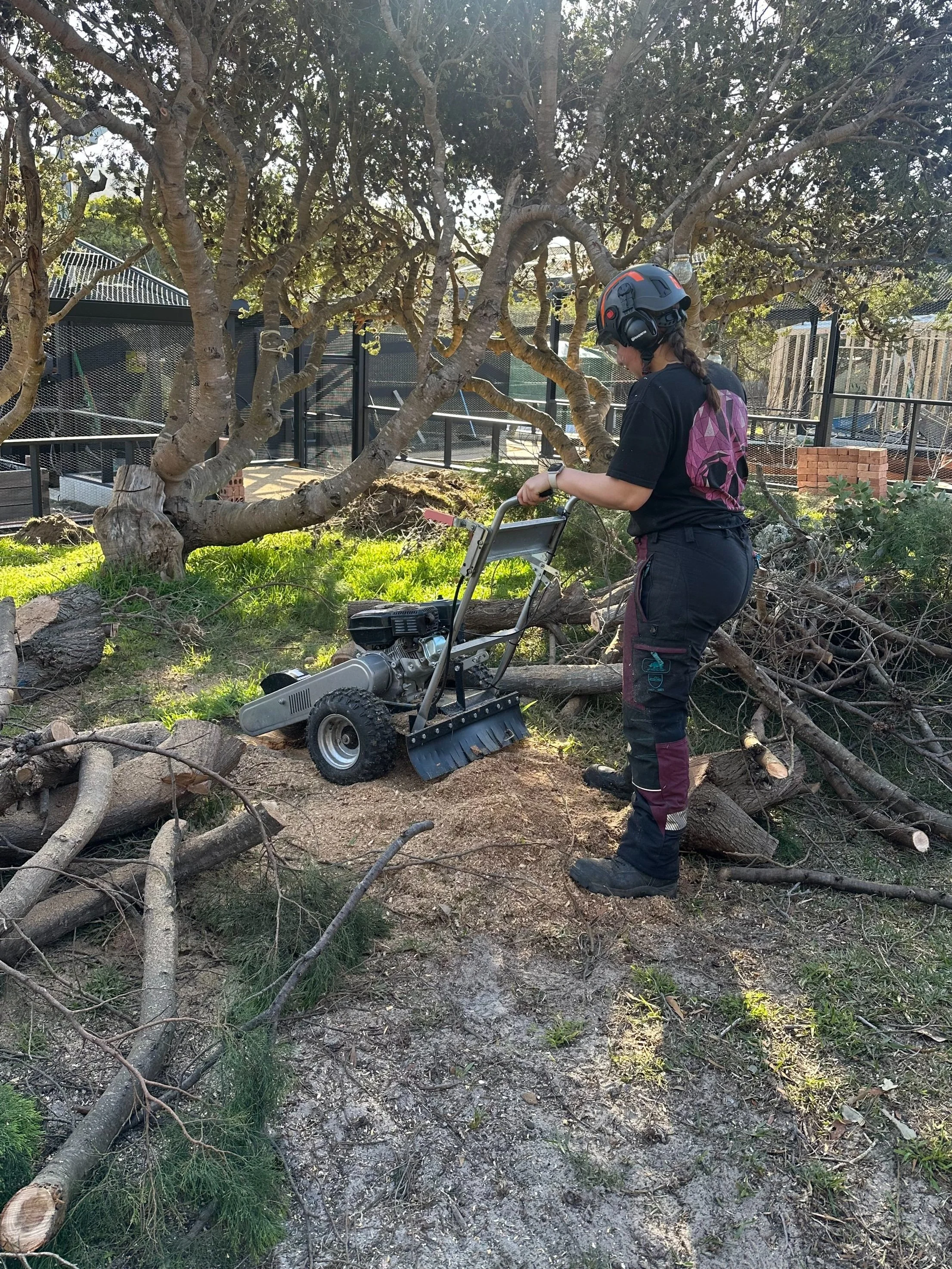 A worker using a stump grinder