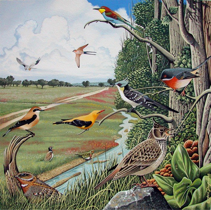 Birds of Portugal philatelic booklet © JP/CTT - Gouache