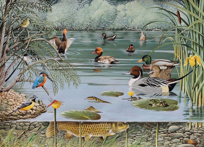 Monsanto Ecological Park, Lisbon - Gouache