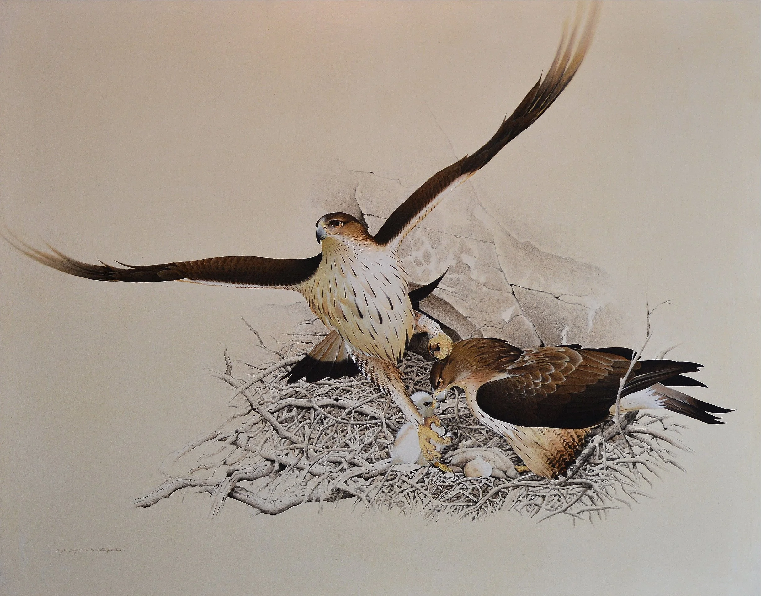 Bonelli's Eagle • Acrylic • 150cm x 120cm