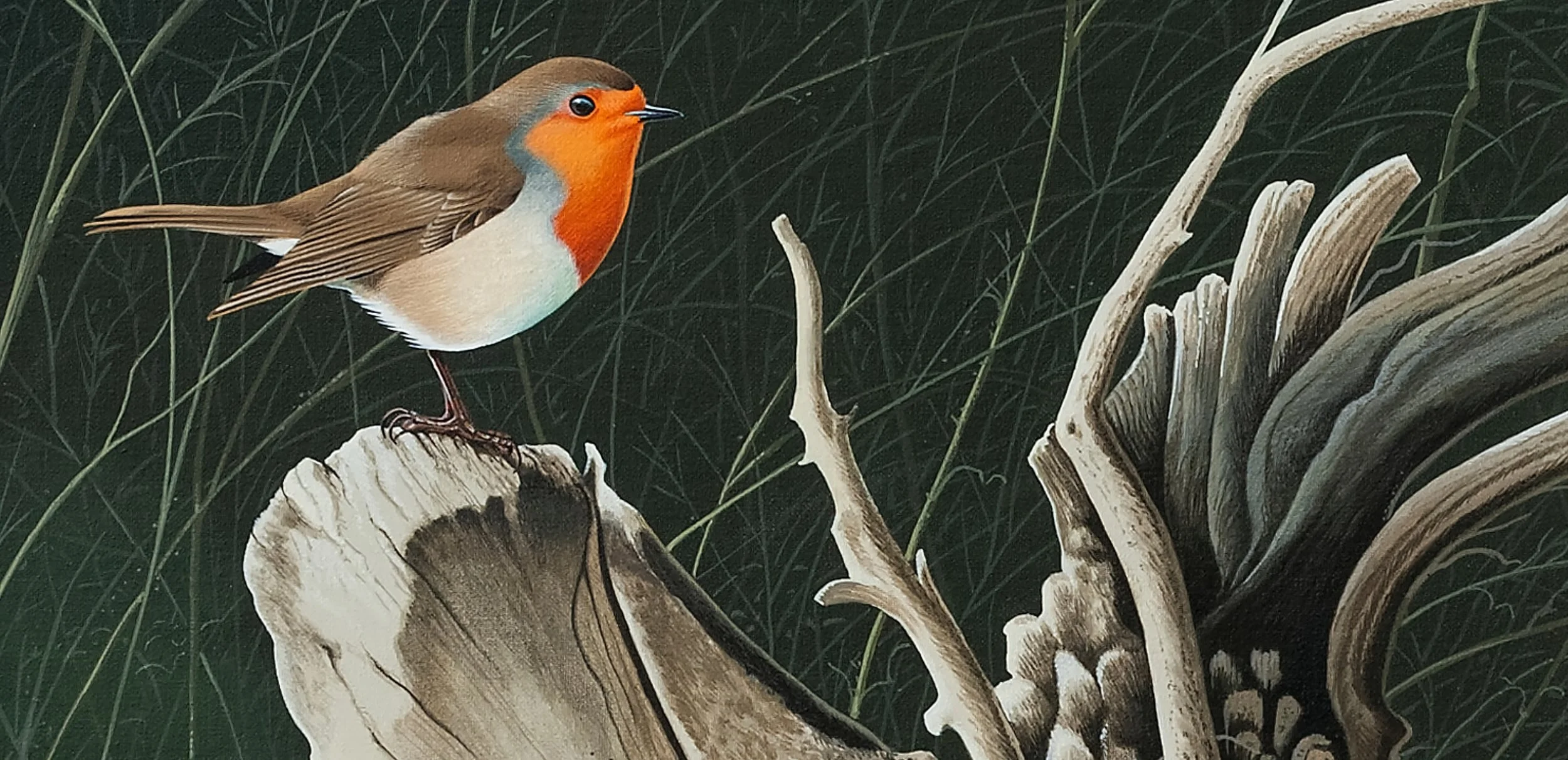 European Robin, Acrilyc Wildlife painting by José da Nazaré Projecto.