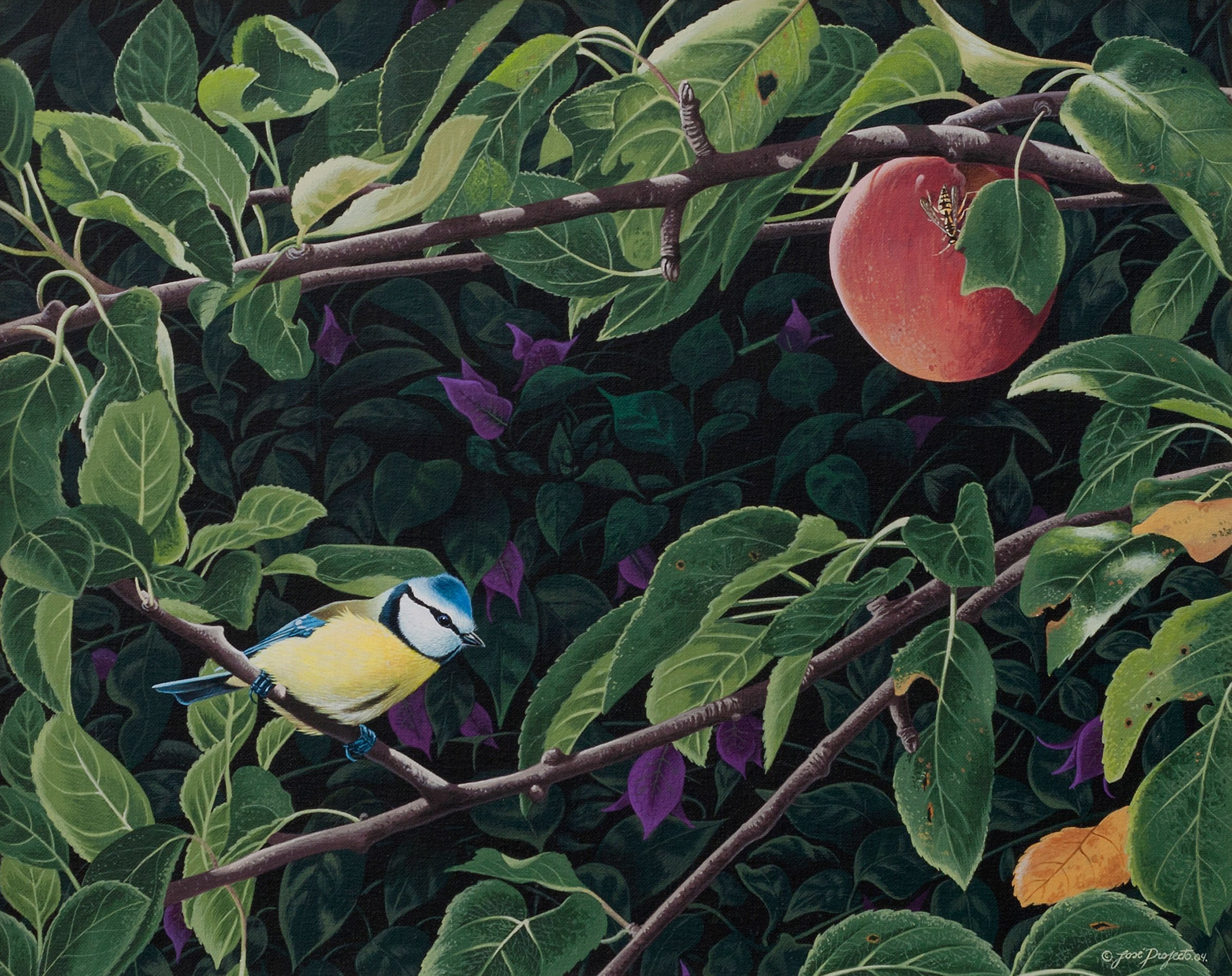 My Apple Tree - 41cm x 32cm