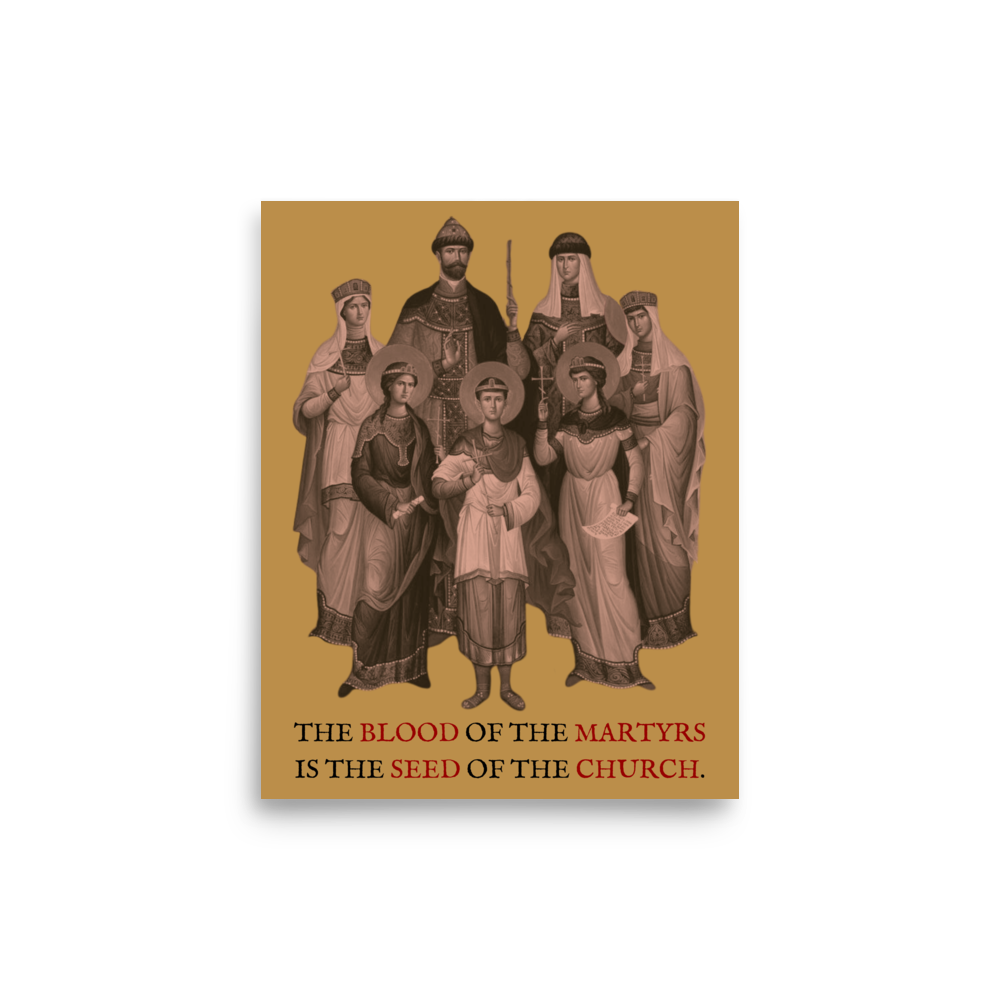 enhanced-matte-paper-poster-(in)-8x10-front-673bf63dd6a29.png