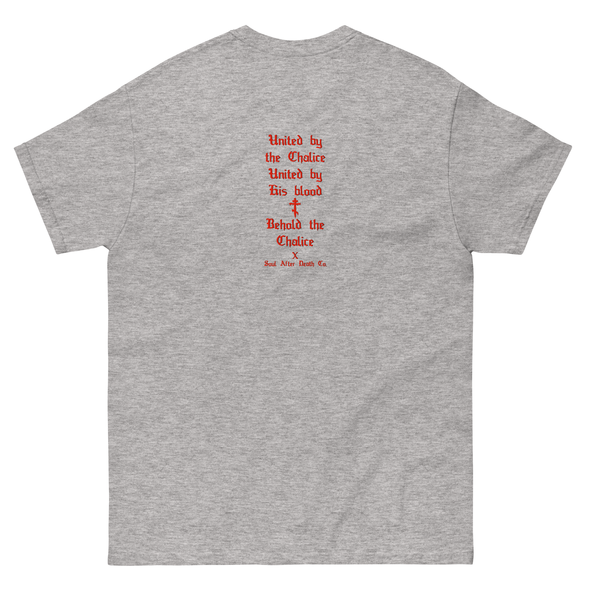 unisex-classic-tee-sport-grey-back-677f1777ecd34.png