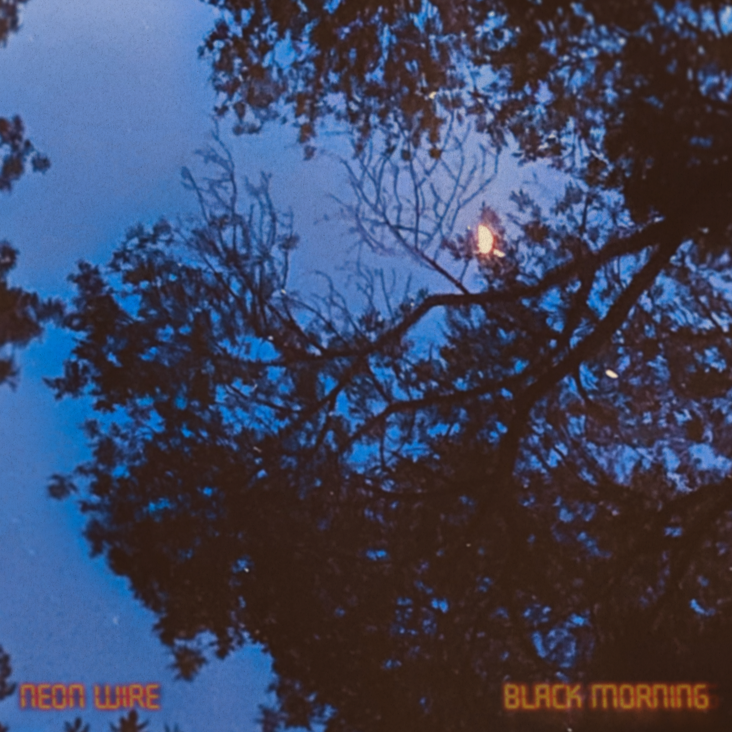 Artwork for Black Morning by Neon Wire