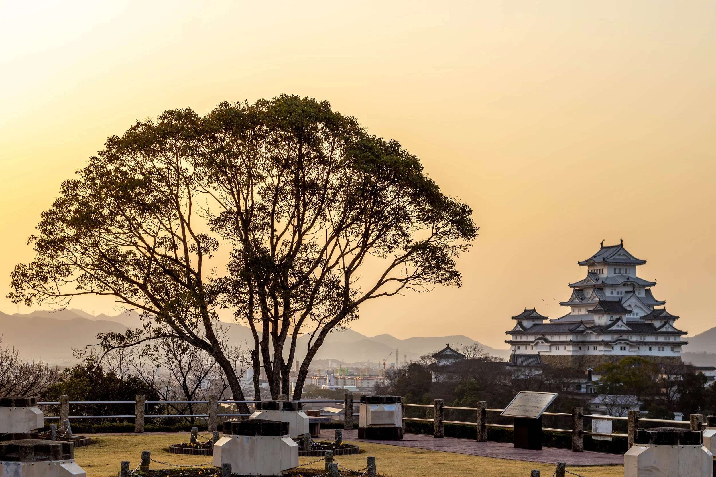 A large tree in the foreground with a traditional Japanese castle in the background at sunset.