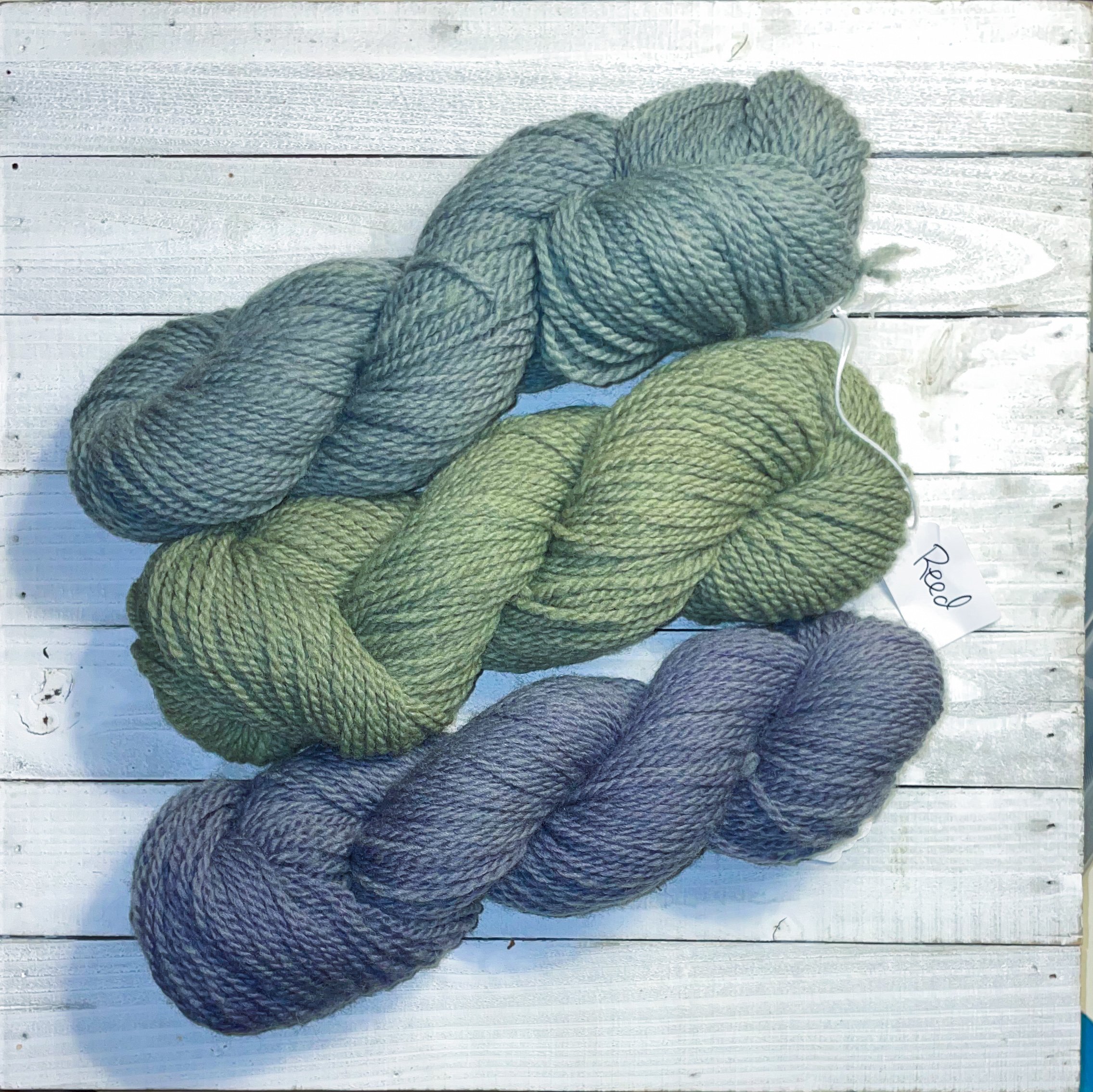 Reed Worsted.jpg