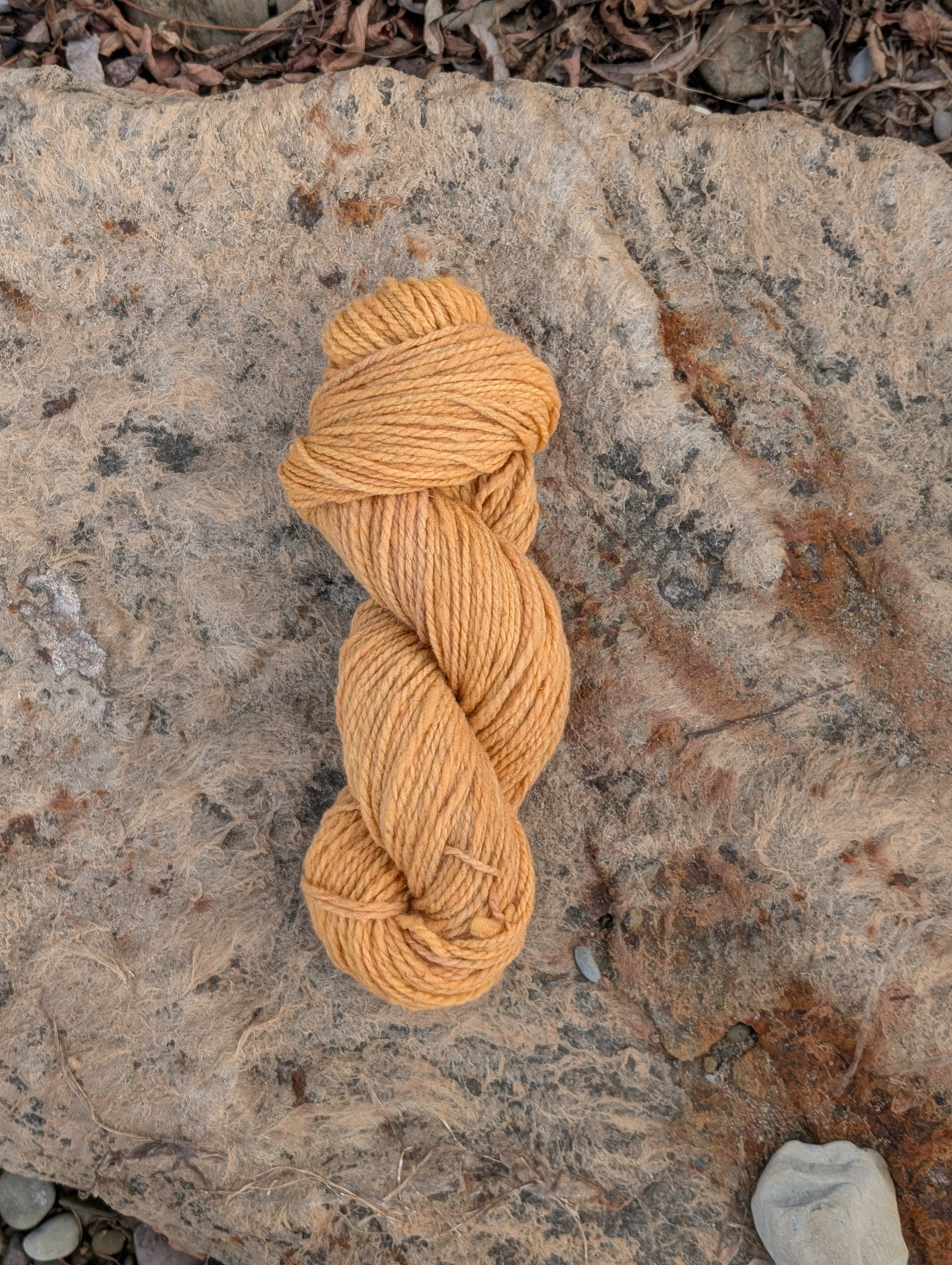 black eyed susan worsted.jpg
