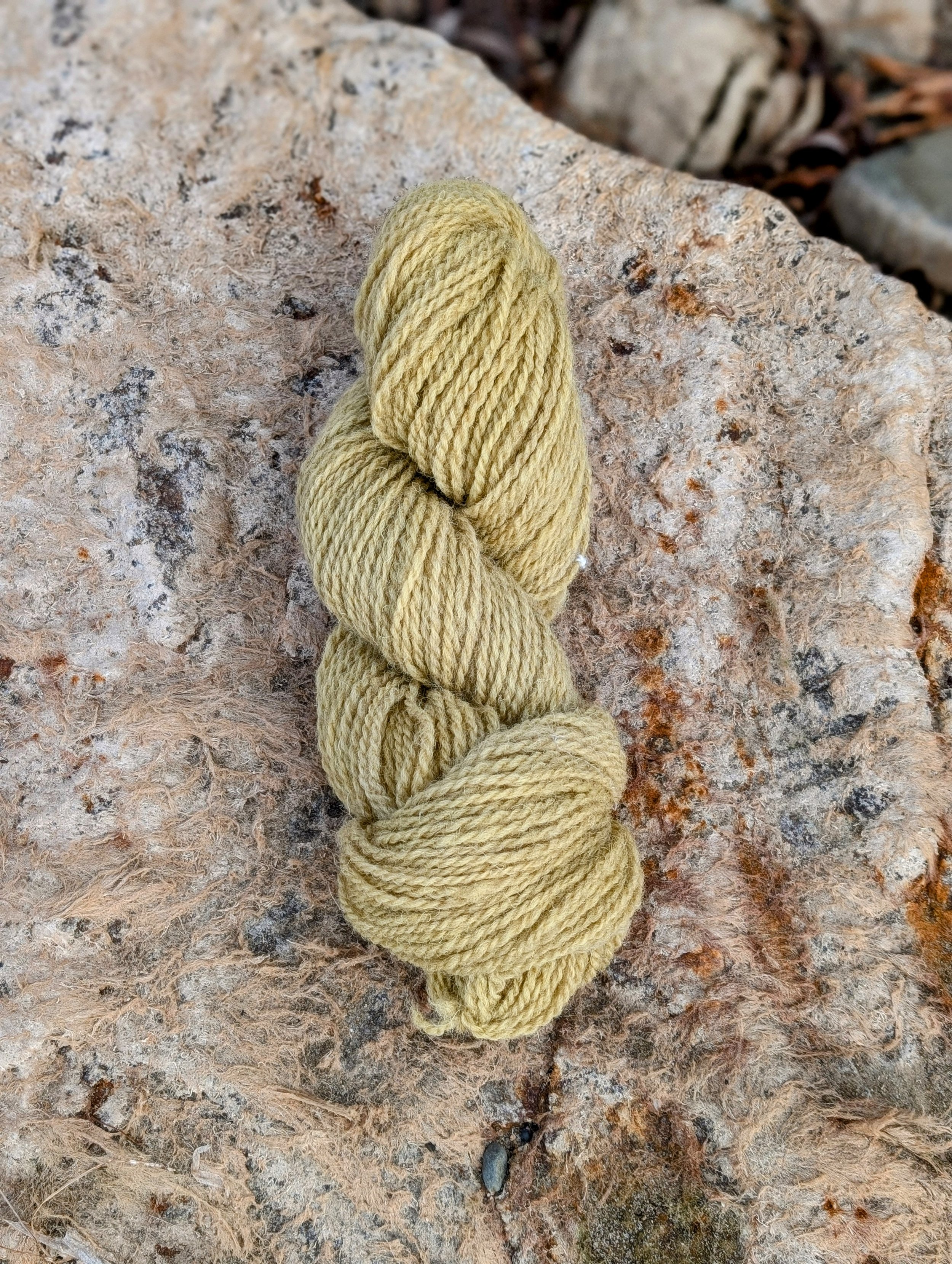 BSNSworsted.jpg
