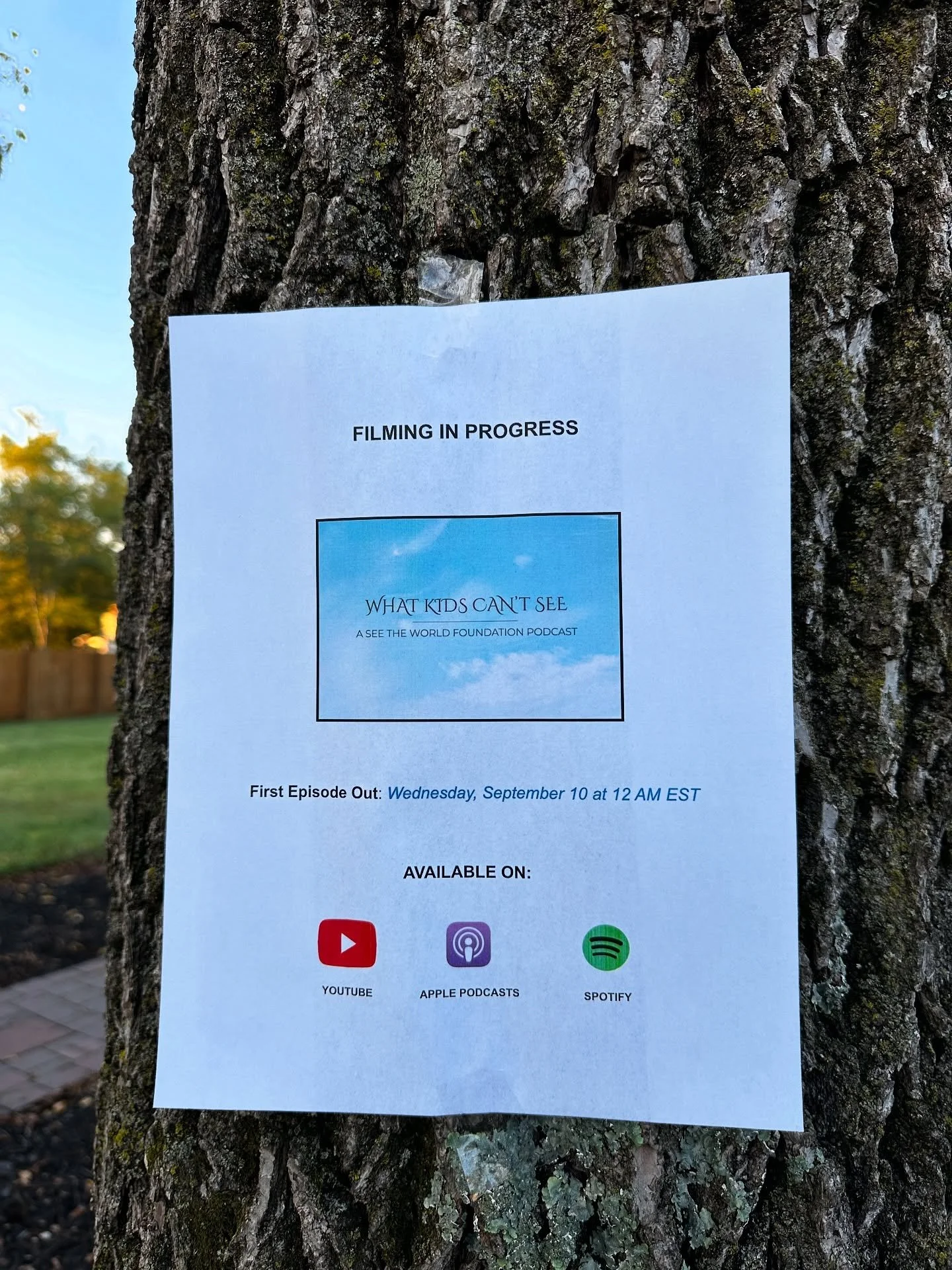 We are so excited to announce the What Kids Can&rsquo;t See Podcast, the newest project under What Kids Can&rsquo;t See, an initiative of See The World Foundation.

Our first step in this initiative was the memoir What Kids Can&rsquo;t See, a deeply 