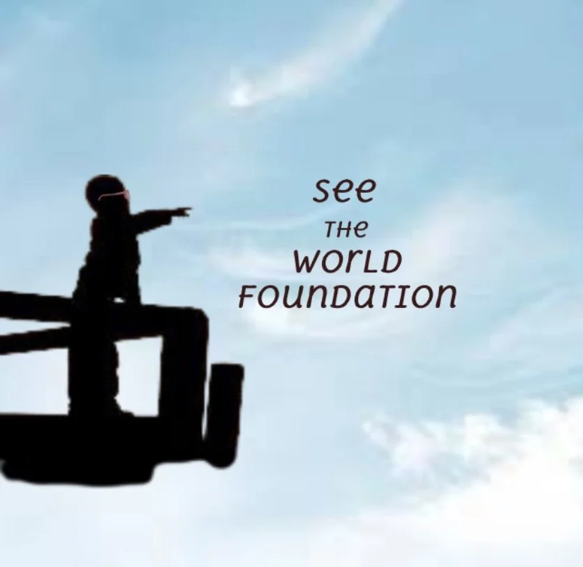 A silhouette of a person standing on a ledge pointing, with sky and clouds in the background, and the text 'see the WORLD FOUNDATION'.