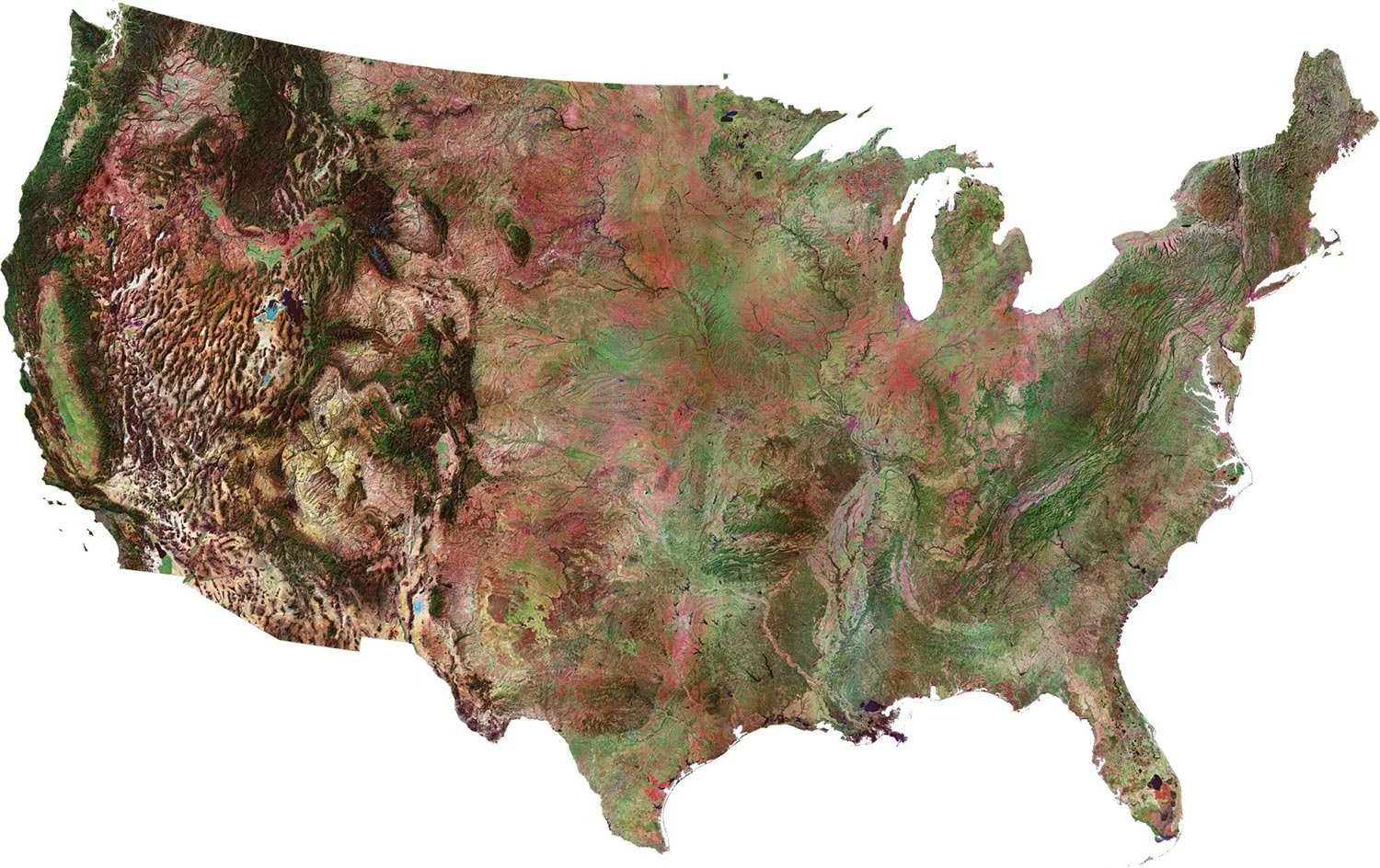 Color-coded topographic map of the United States showing mountains, rivers, and land elevation differences.