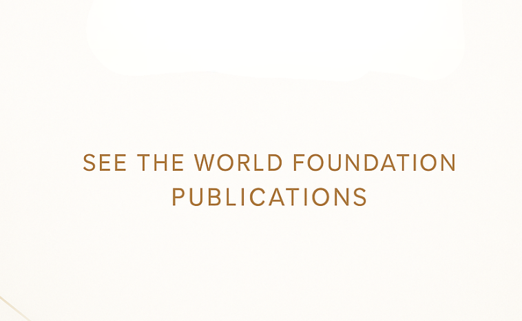 White background with orange text that reads 'See The World Foundation Publications'.