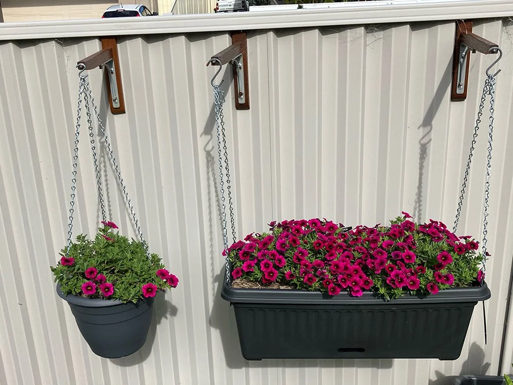 Grow a Variety of Plants