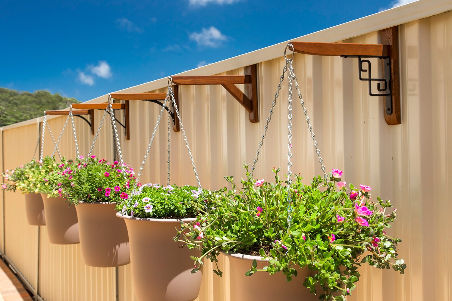 Four hanging flower pots with colorful pink, purple, and white flowers attached to a beige metal fence on a clear sunny day.