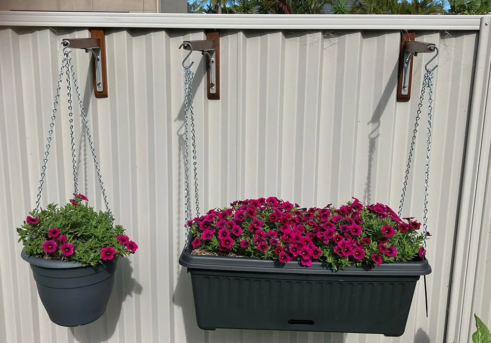 Two hanging flower pots filled with pink petunias are hanging on a metal fence.