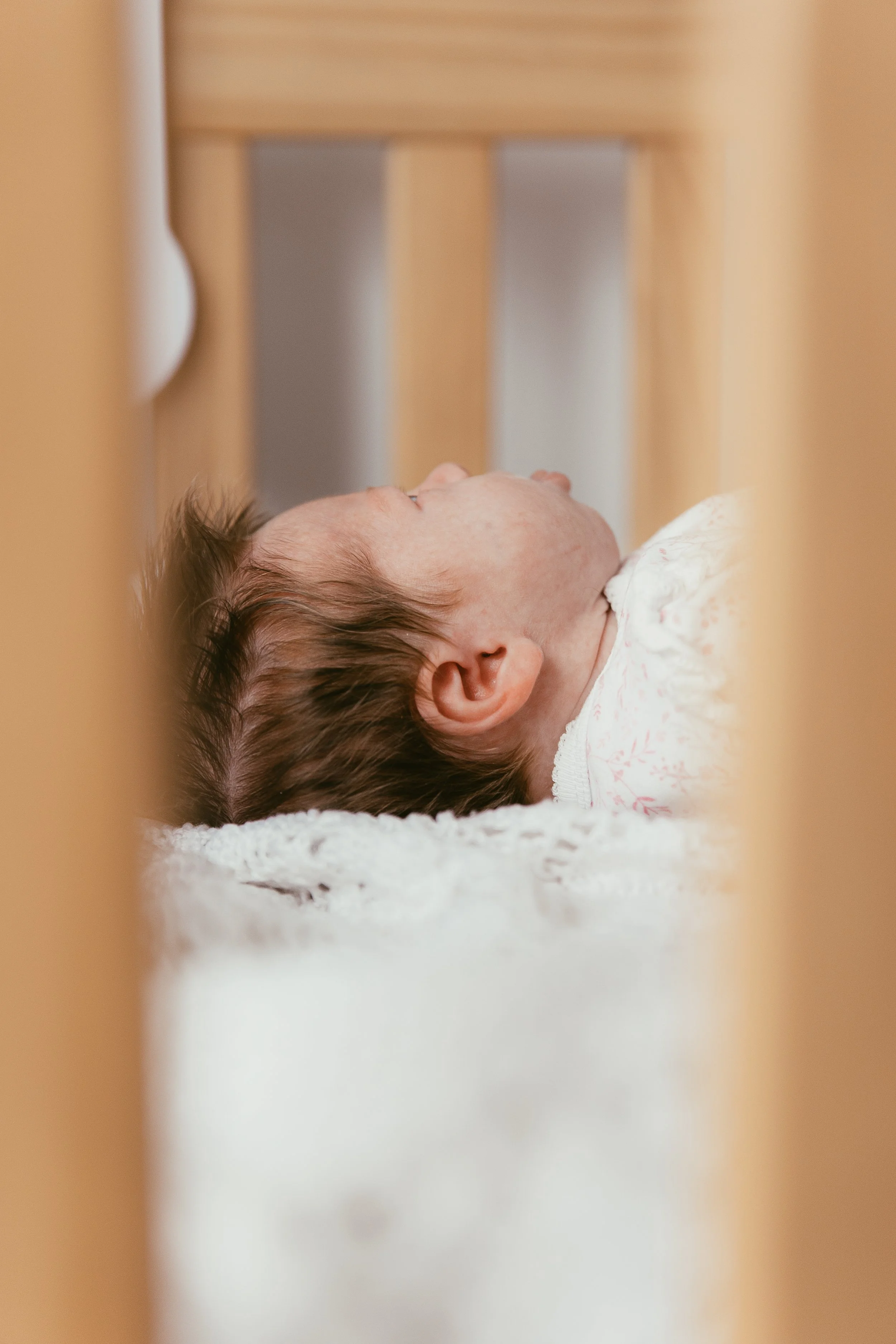 All Around Images-321.JPG