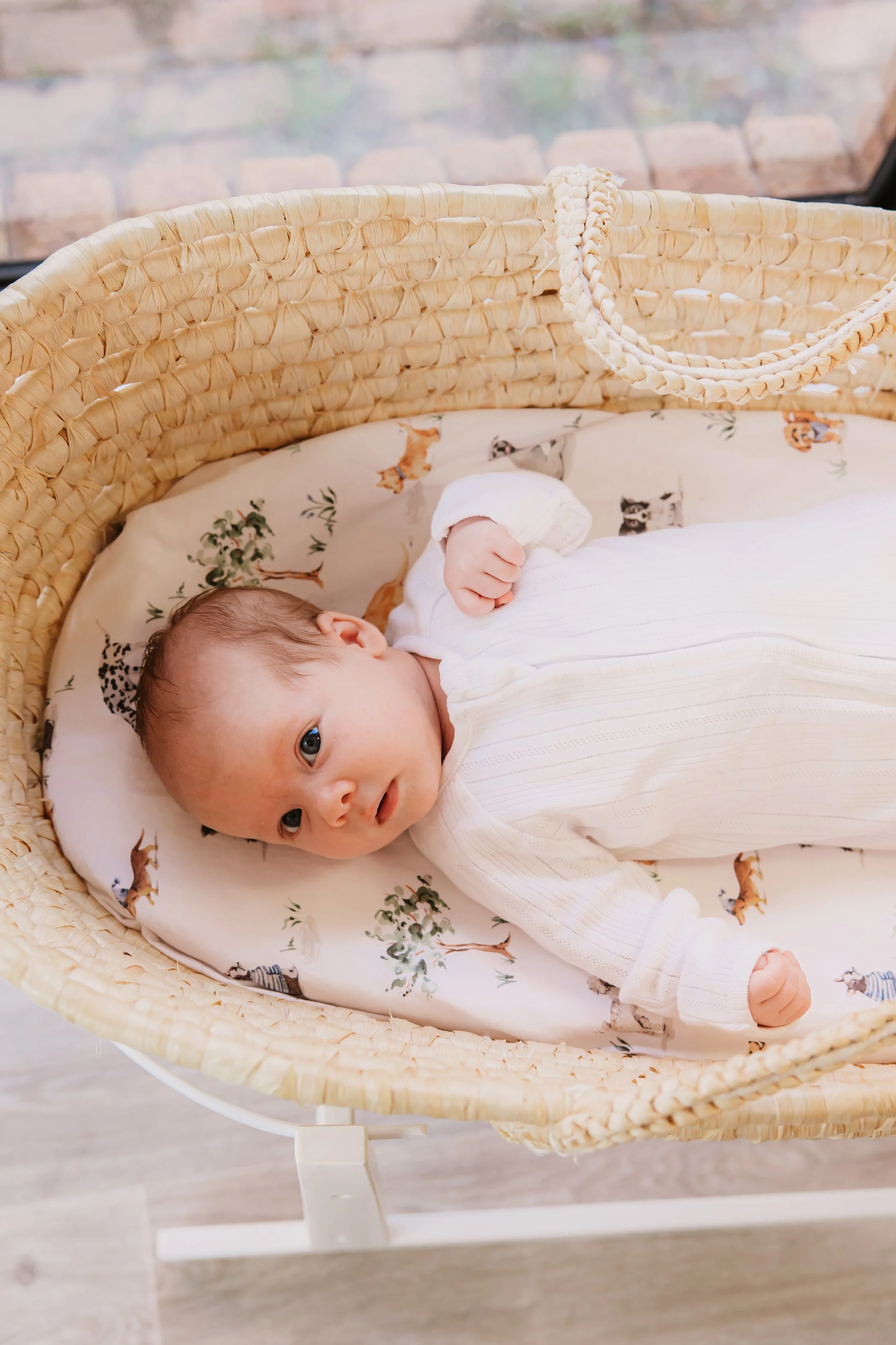 allaroundimages_LaurenNewborn_fullgallery-128.jpg