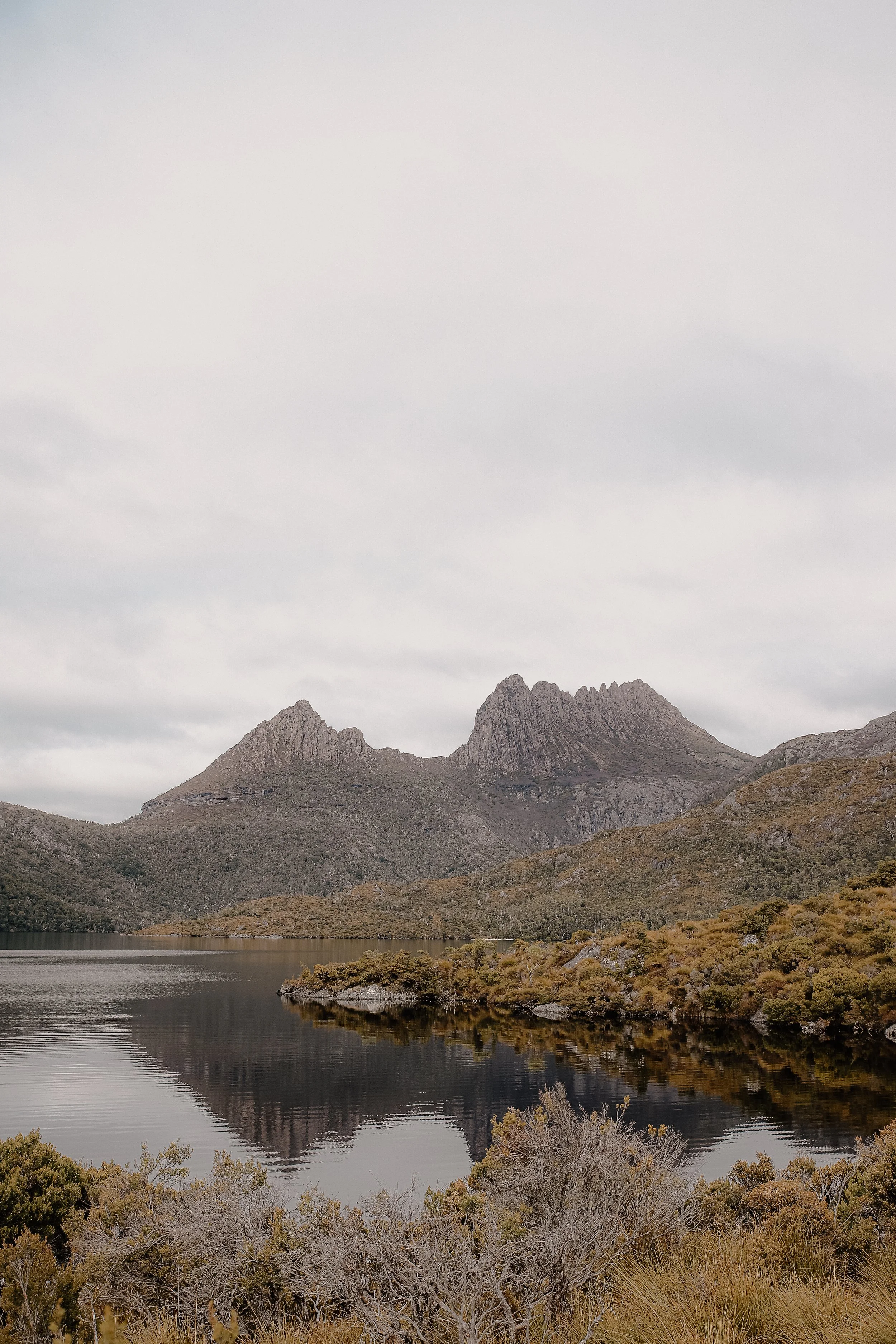 All Around Images.2023.-2234.JPG