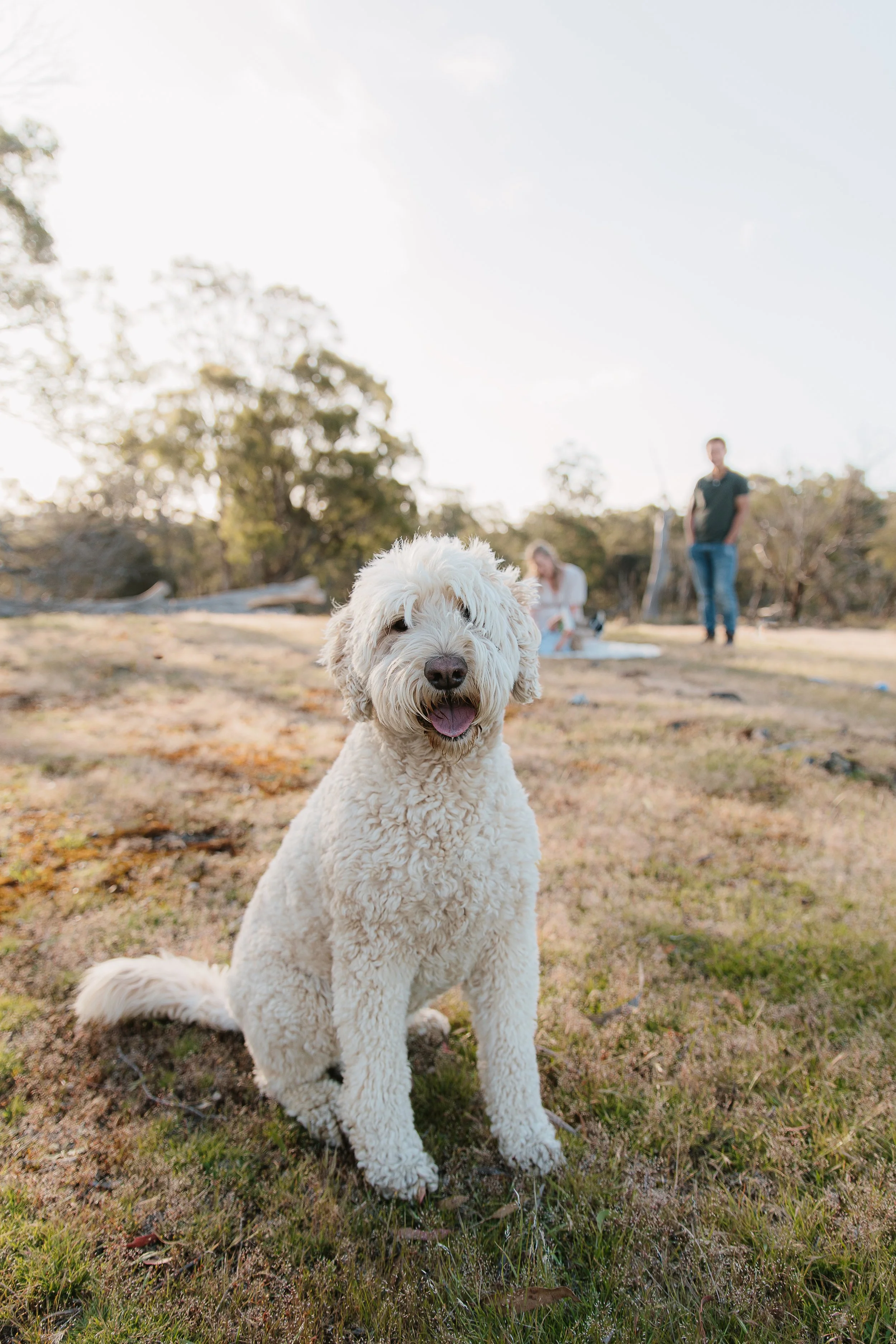 All Around Images.SChang-36.jpg