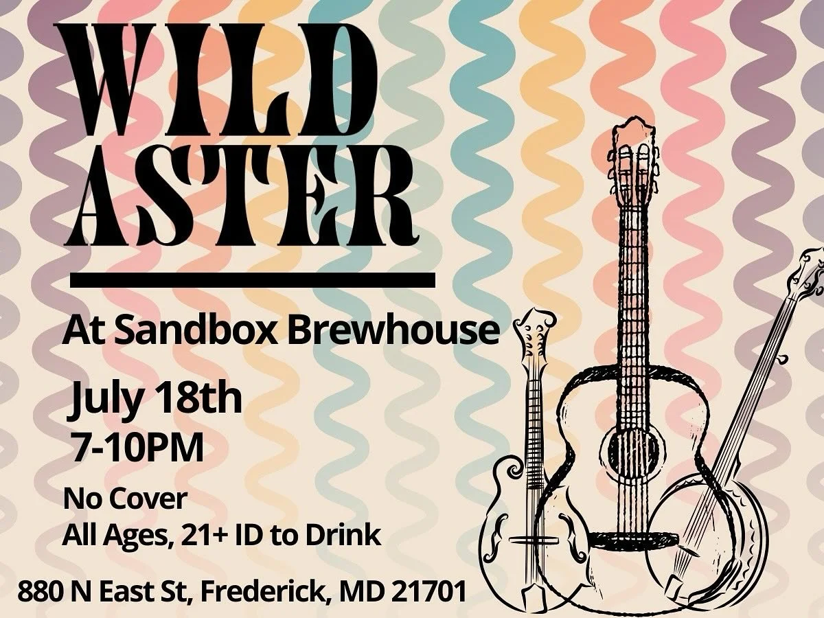 Wild Aster, @wildaster_band, will be taking the stage at Sandbox on July 18th!
A local Americana trio with sounds inspired from American old time music, bluegrass, folk, and rock traditions. Perfect for some Friday night live music! This one is for