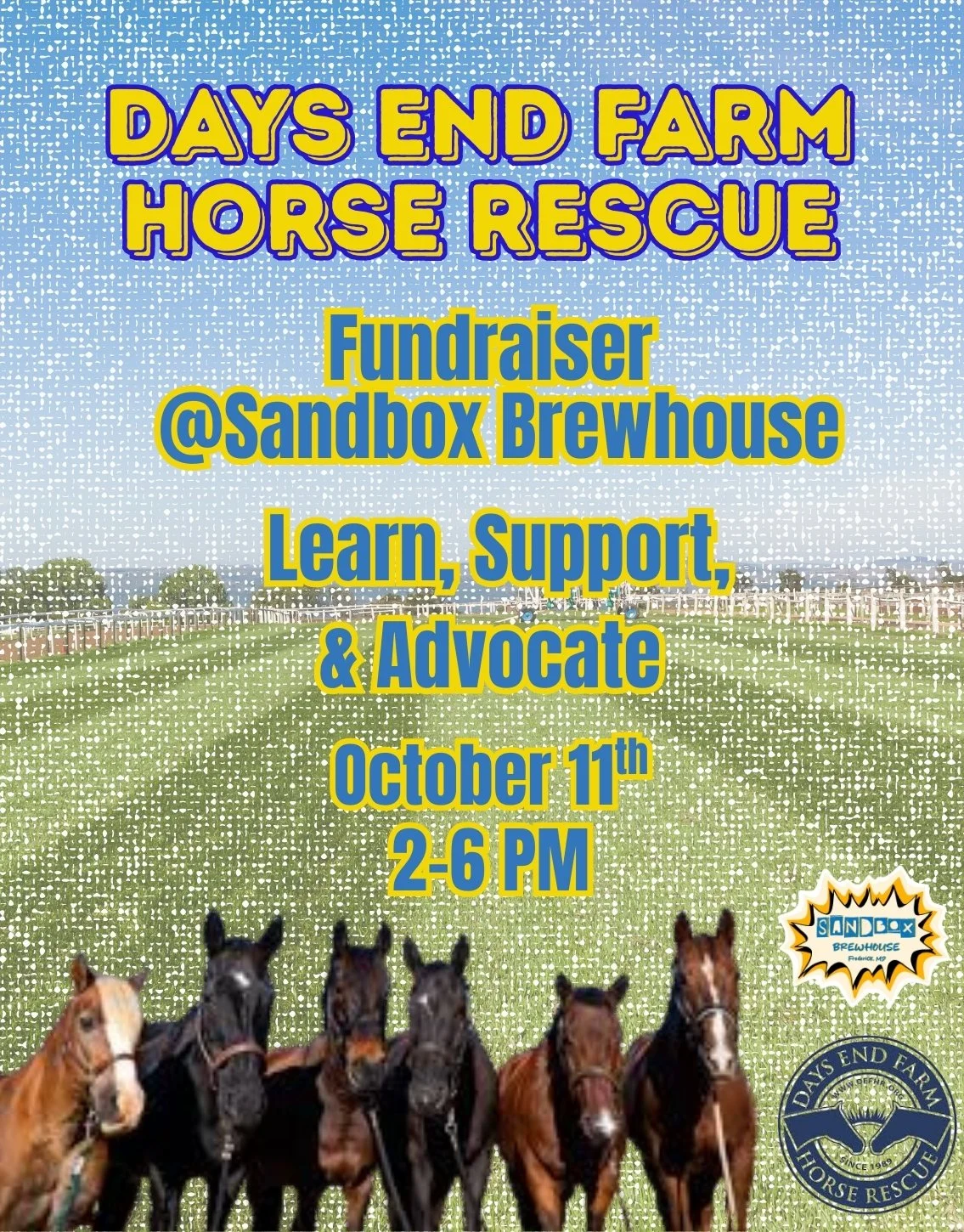 DEFHR Fundraiser