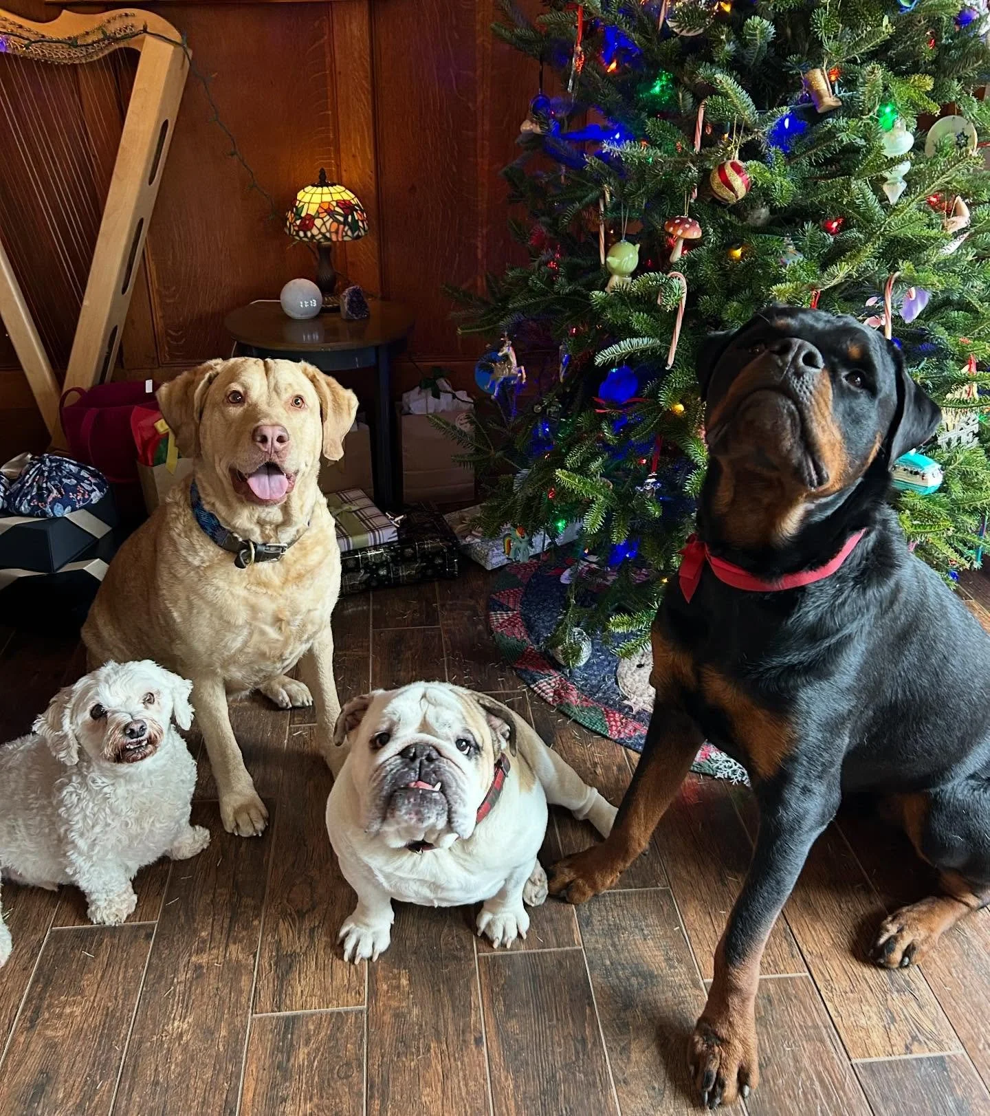 Happy holidays from the Sandbox family!!

Thank you for making this an exciting year for all of us
🫶🍻🎄

See you tomorrow :)) open 3-10:30 PM!

#sandboxbrewhouse #sandboxdogs #craftbeer #makemineanaryland #frederickmd
