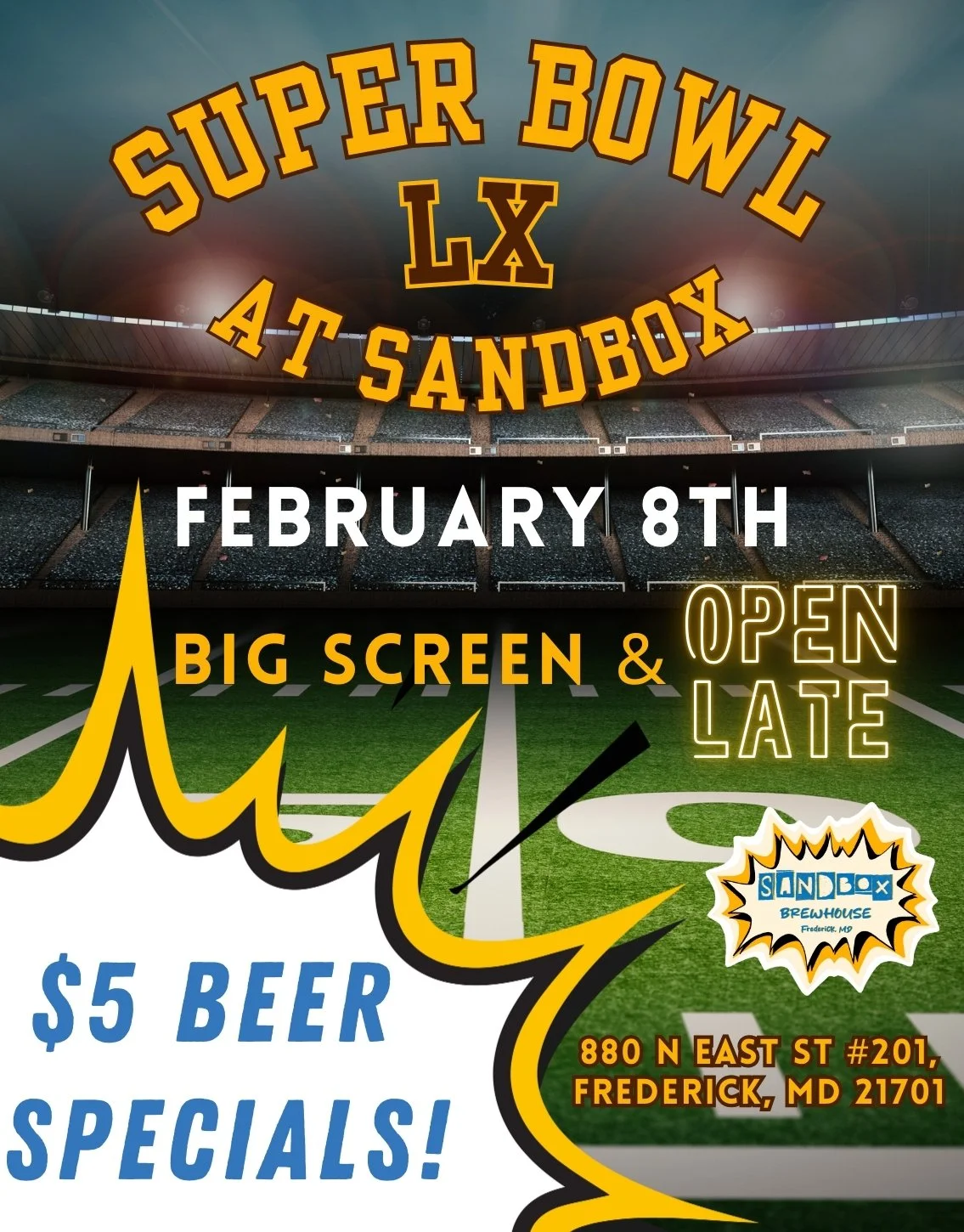 Super Bowl XL Viewing Party