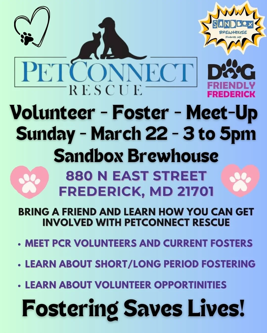PetConnect Rescue Volunteer &amp; Foster Meet-Up