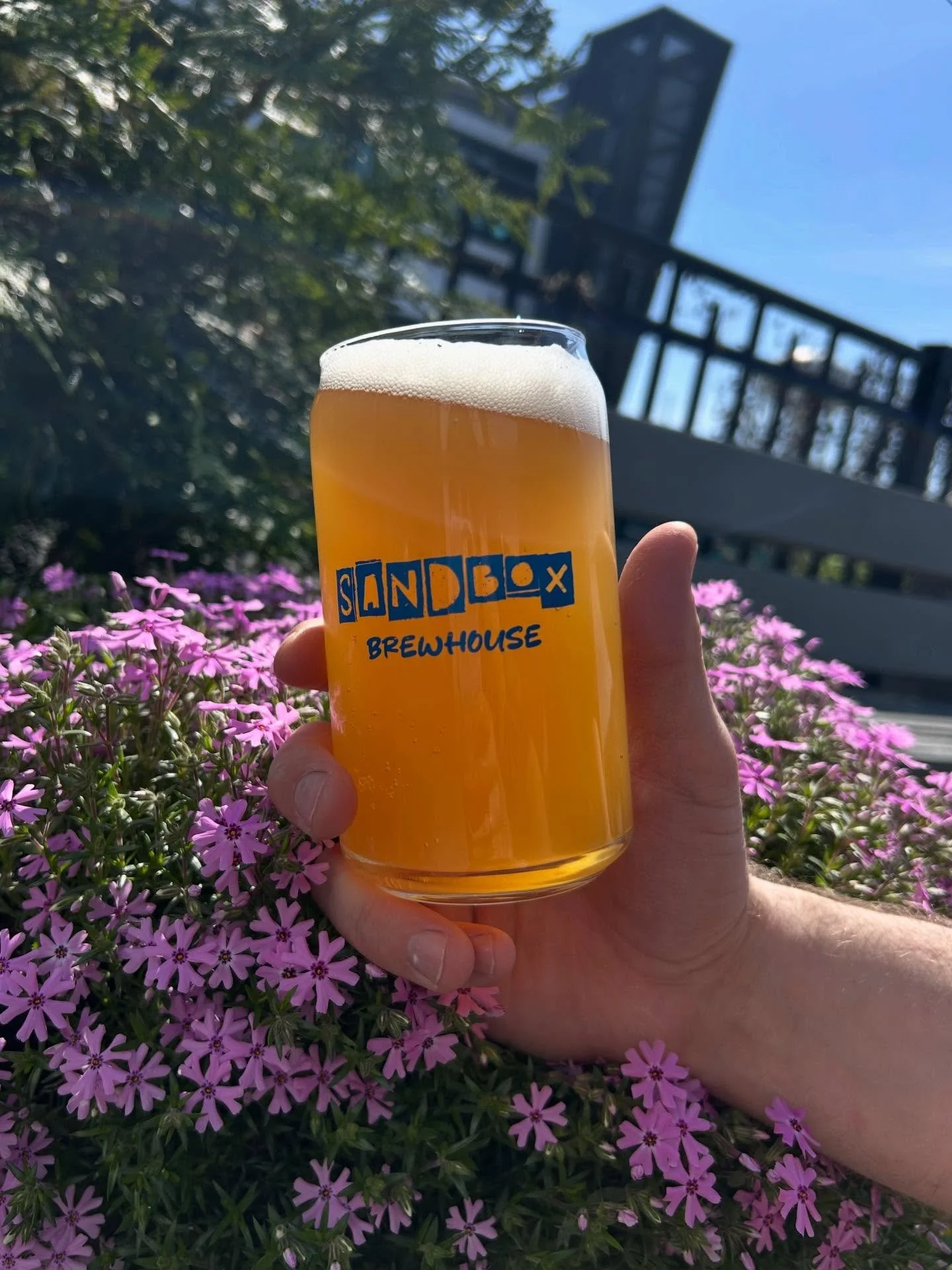 BEER RELEASE! 

On tap now, TrOPical Dog! 
Summer blonde ale&hellip;6.1% 
This perfect-for-the-summer ale was brewed in collaboration with Urbana&rsquo;s The Green K9, who supplied all of our taproom&rsquo;s dog beds! Featuring a heavenly combination