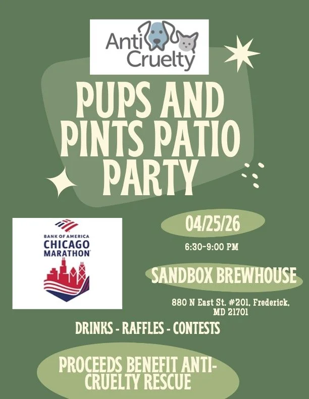Pups & Pints Patio Party