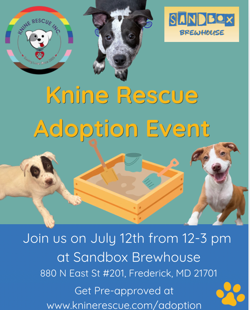 Knine Rescue Adoption Event