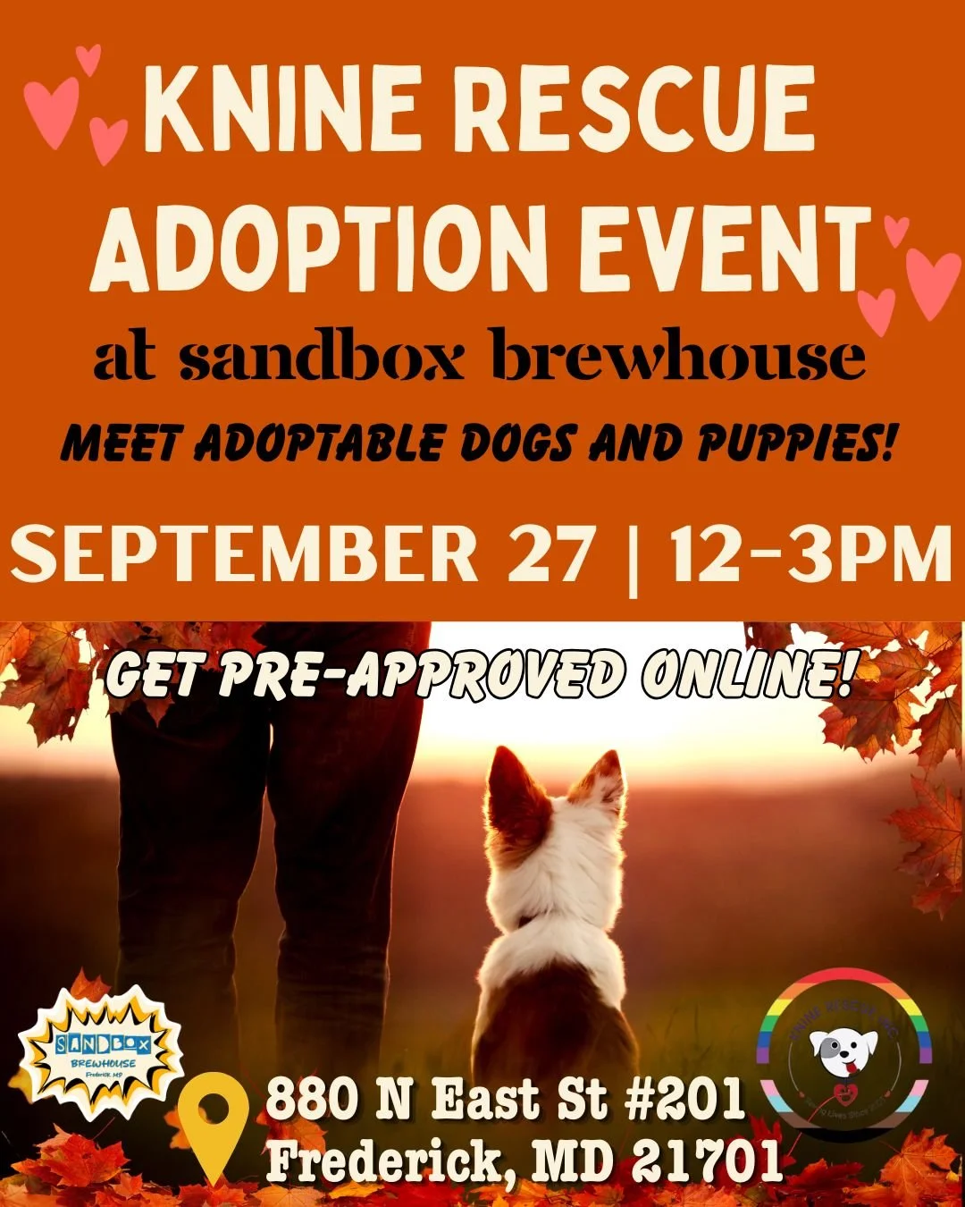 Knine Rescue Adoption Event 