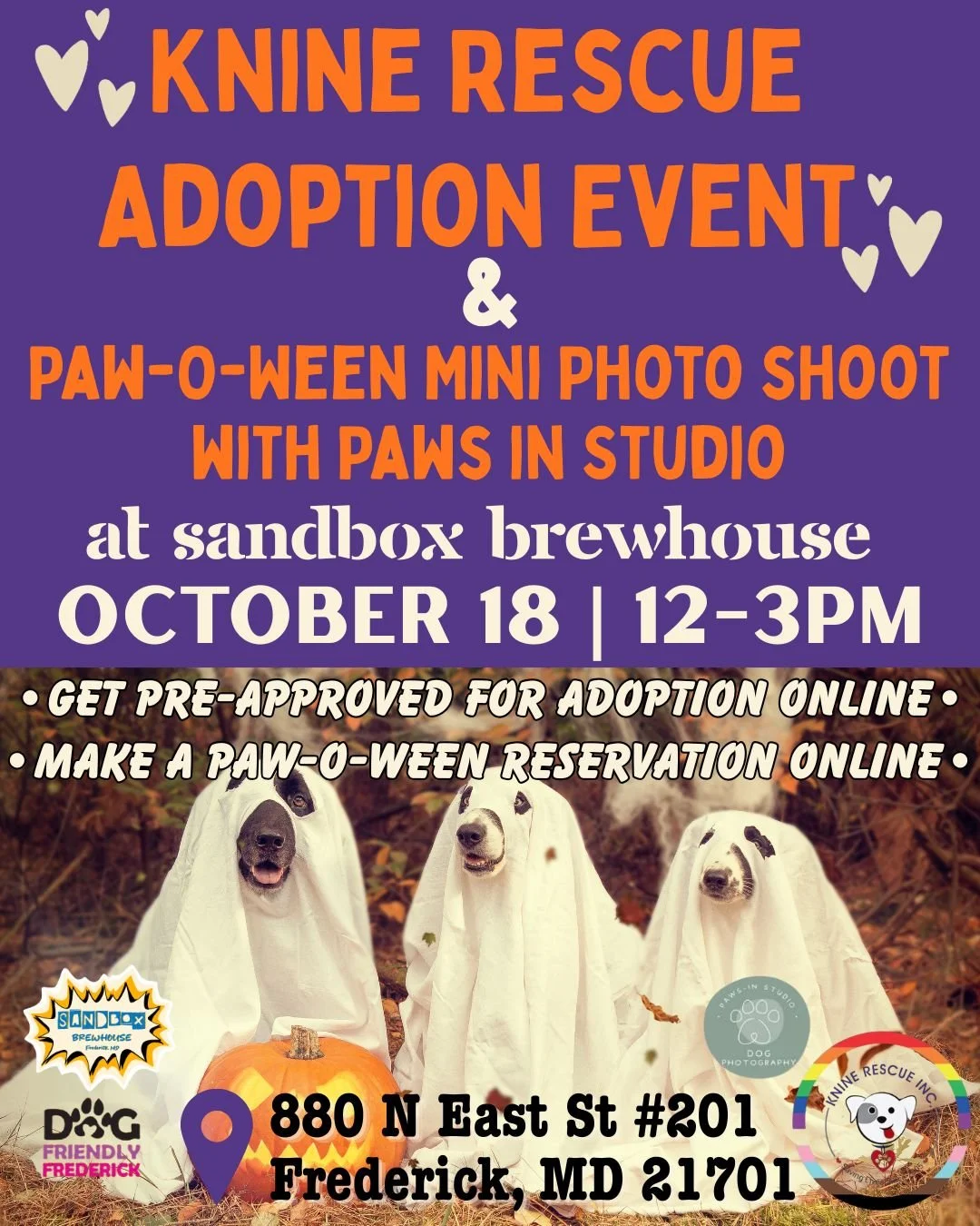 Knine Adoption Event &amp; Paw-O-Ween