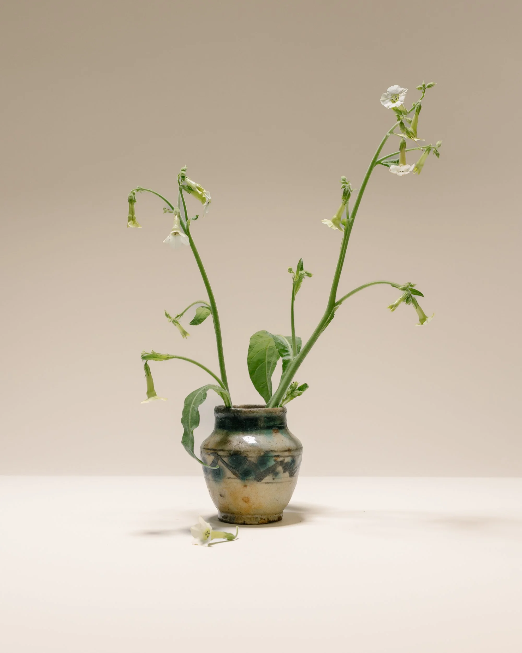 PRODUCT_021.jpg