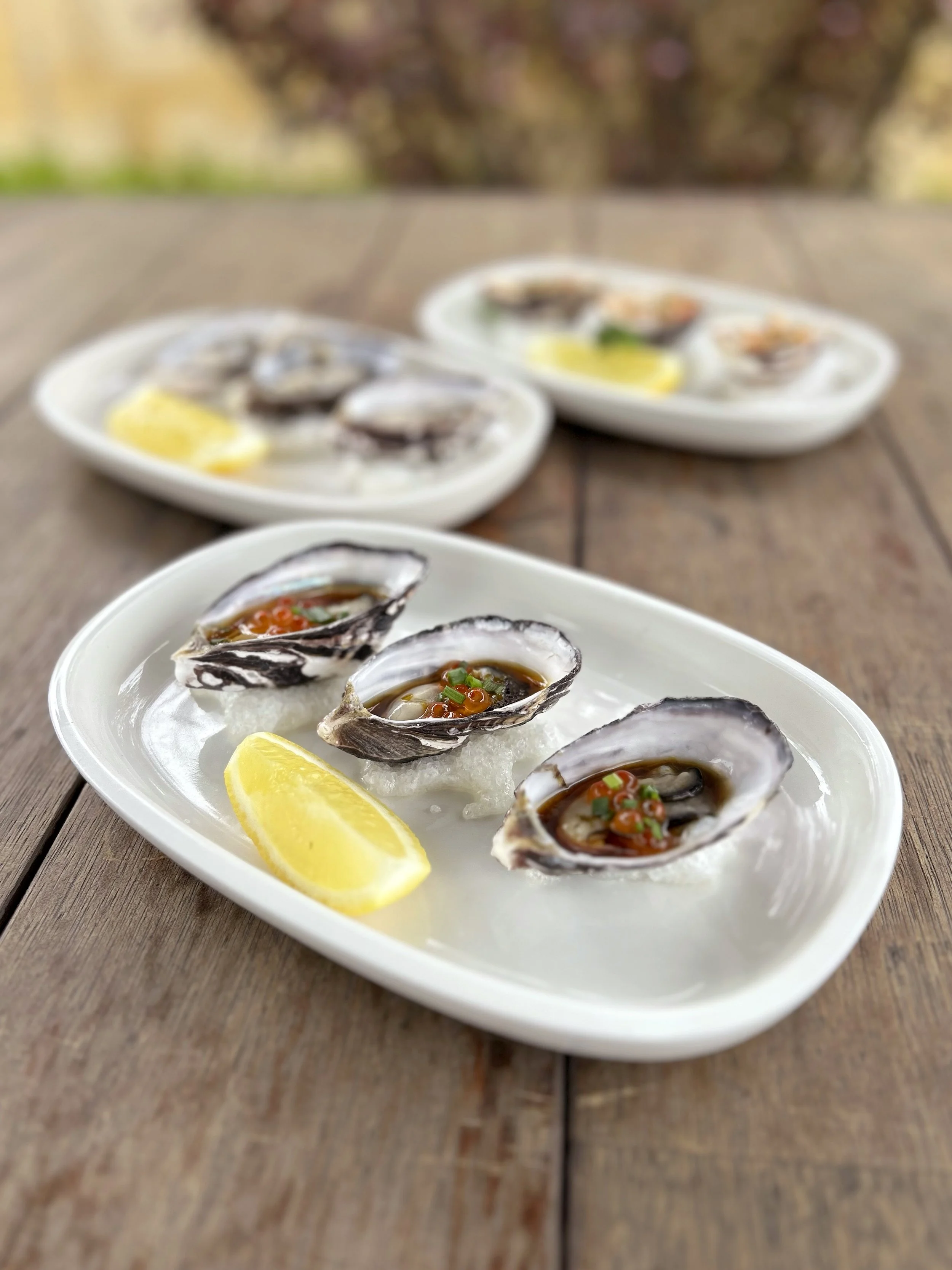 Tillys_Oysters01.jpg